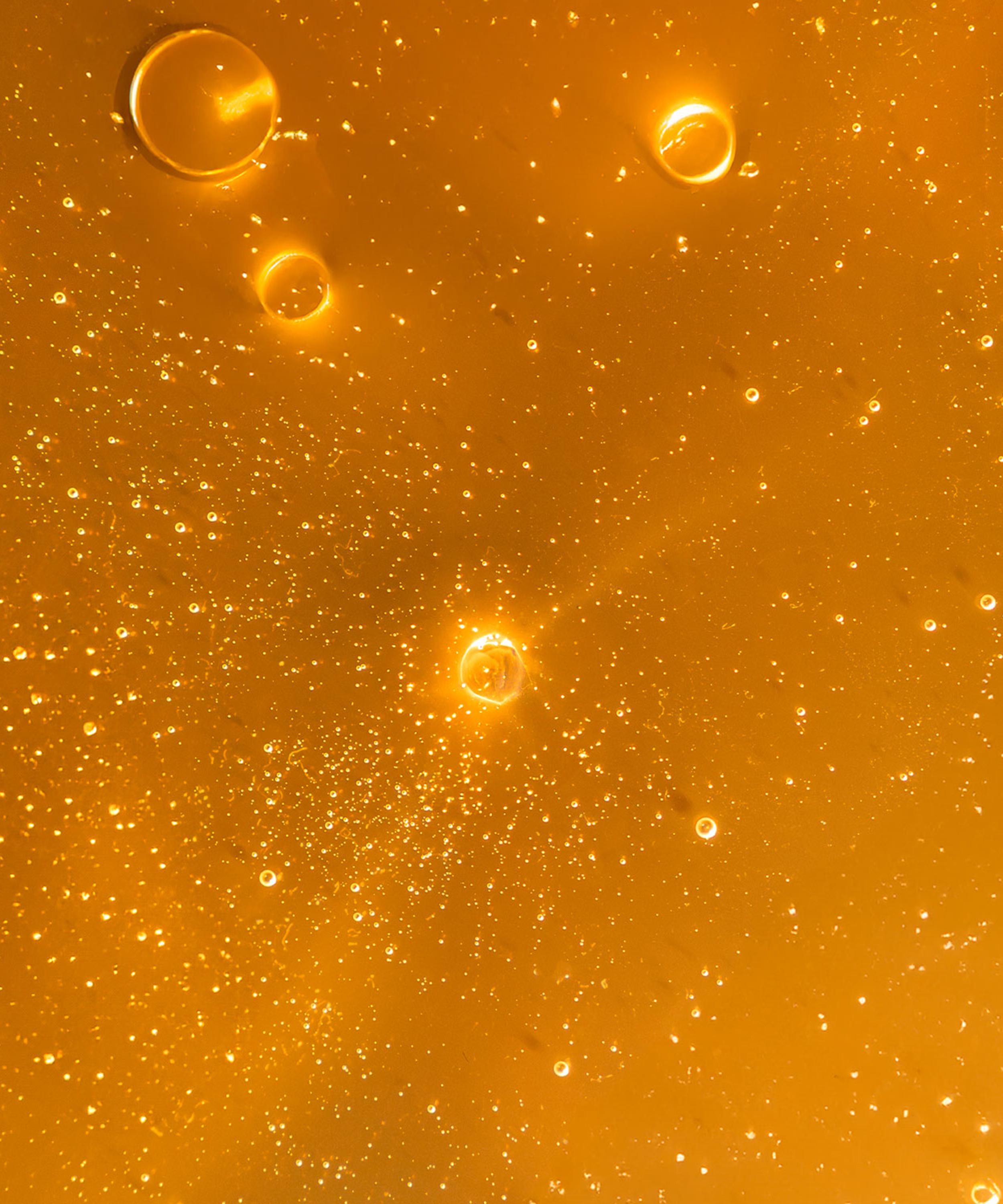 SEED TO SKIN - The Revival Shampoo 250ml image number 3