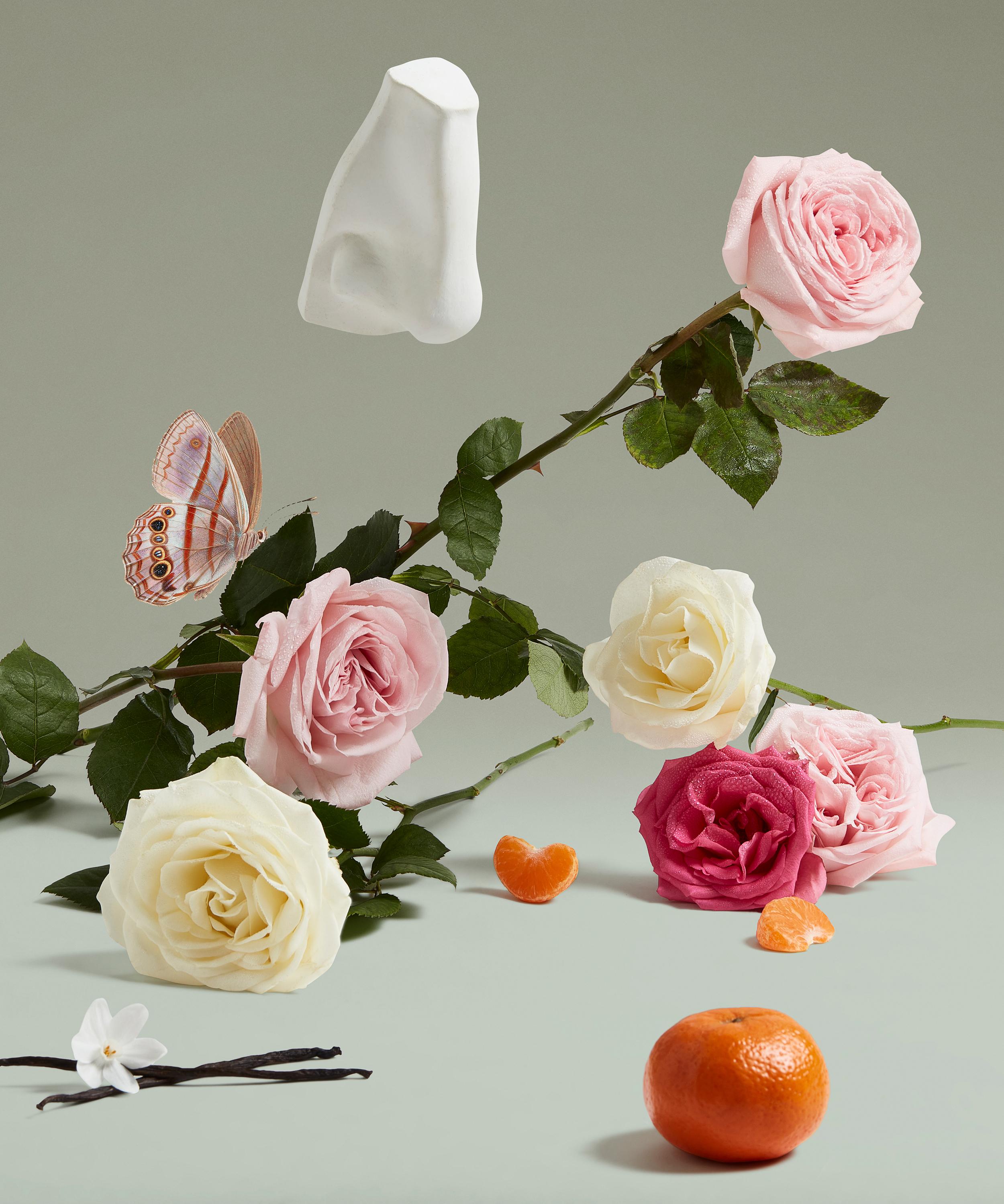 Penhaligon's - The Coveted Duchess Rose Eau de Parfum 75ml image number 2