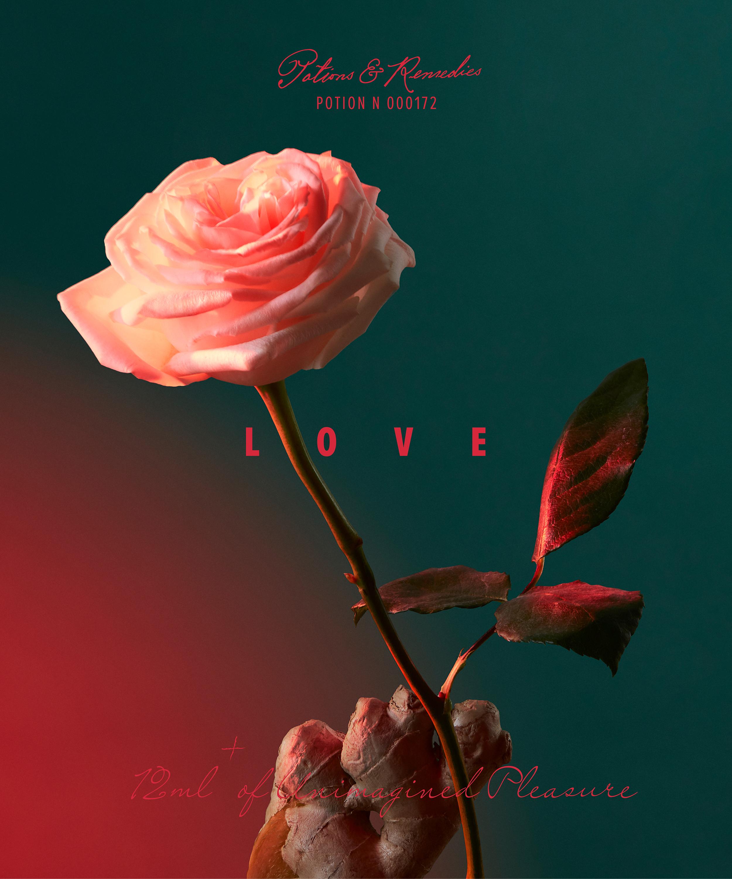 Penhaligon's - Liquid Love Eau de Parfum 50ml image number 3