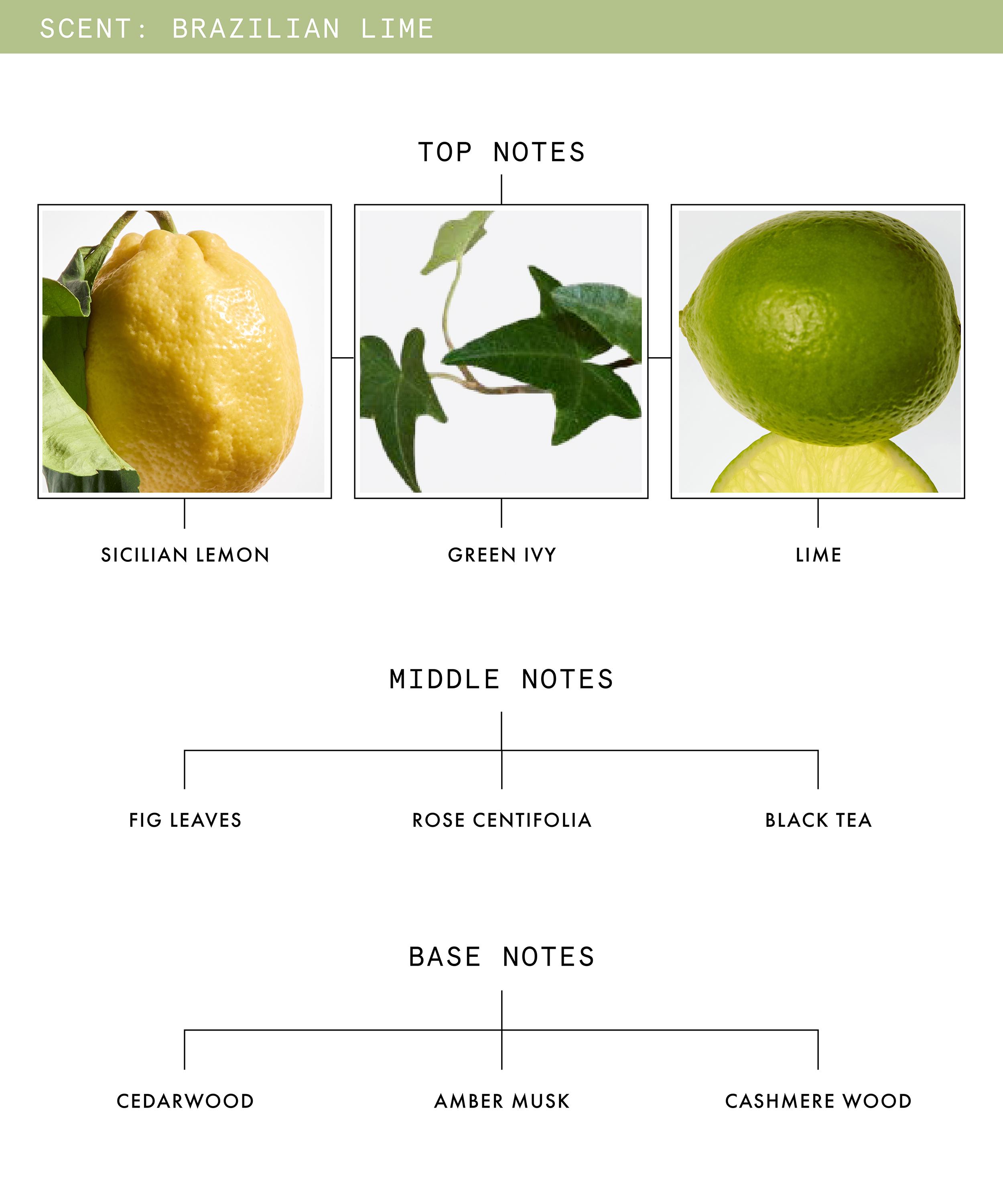 Beauty Pie - Brazilian Lime Fig Leaves Tea Eau de Parfum 50ml image number 2