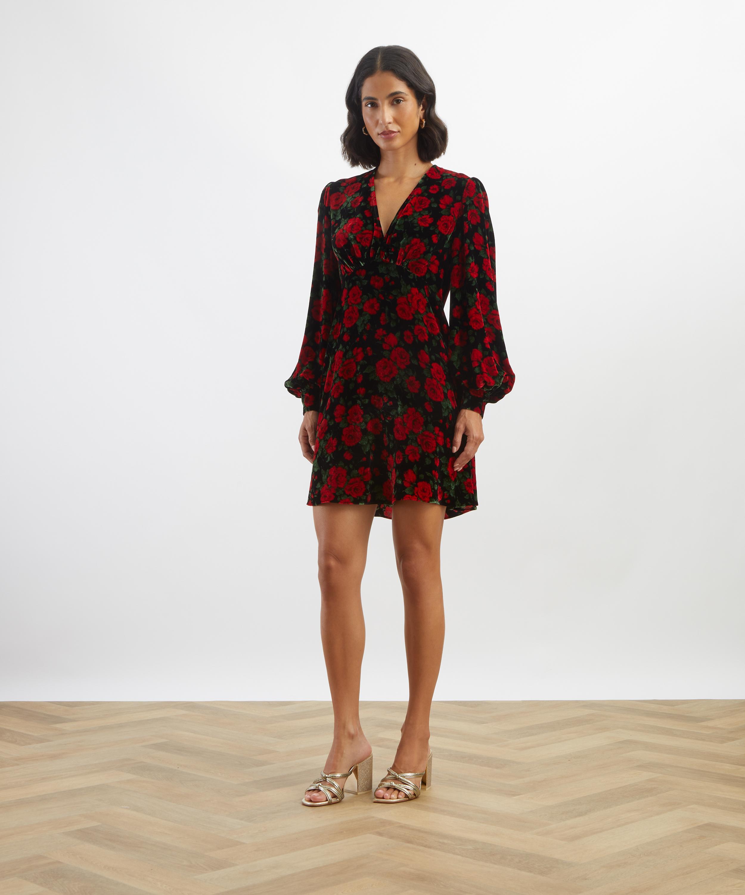 Liberty - Carline Meadow Velvet Soir&eacute;e Mini Dress&nbsp; image number 1