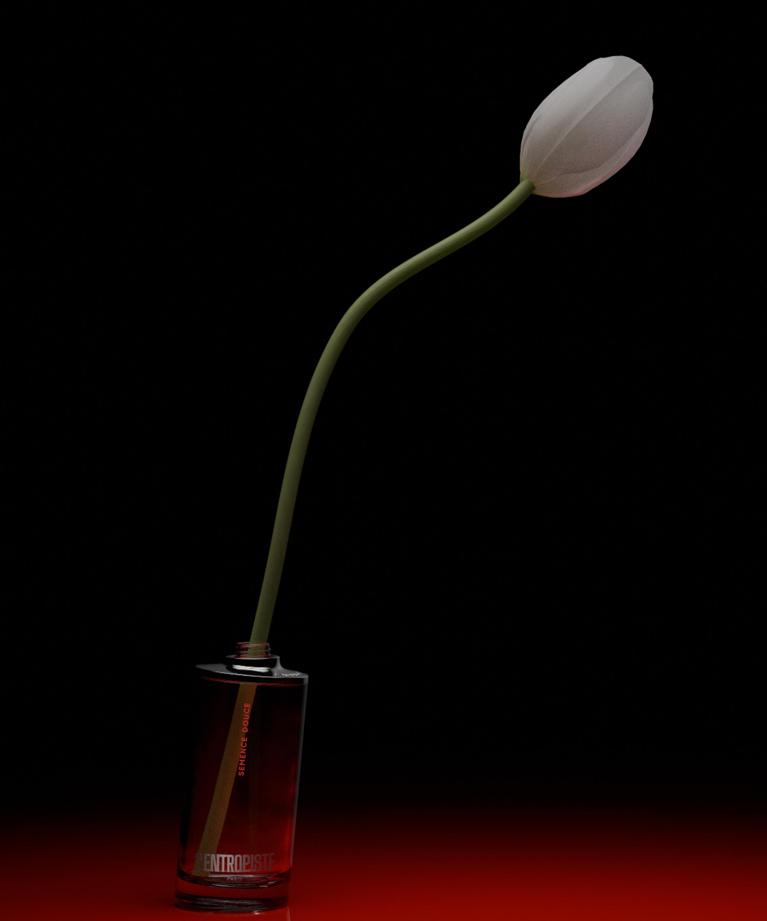 L'Entropiste - Semence Douce Eau de Parfum 100ml image number 4