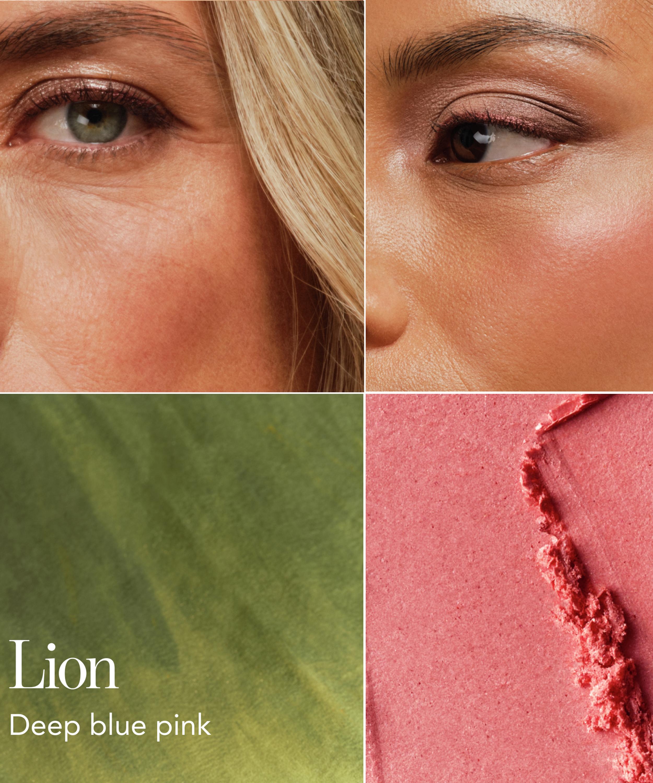 Chantecaille - Cheek Shade 2.5g image number 2