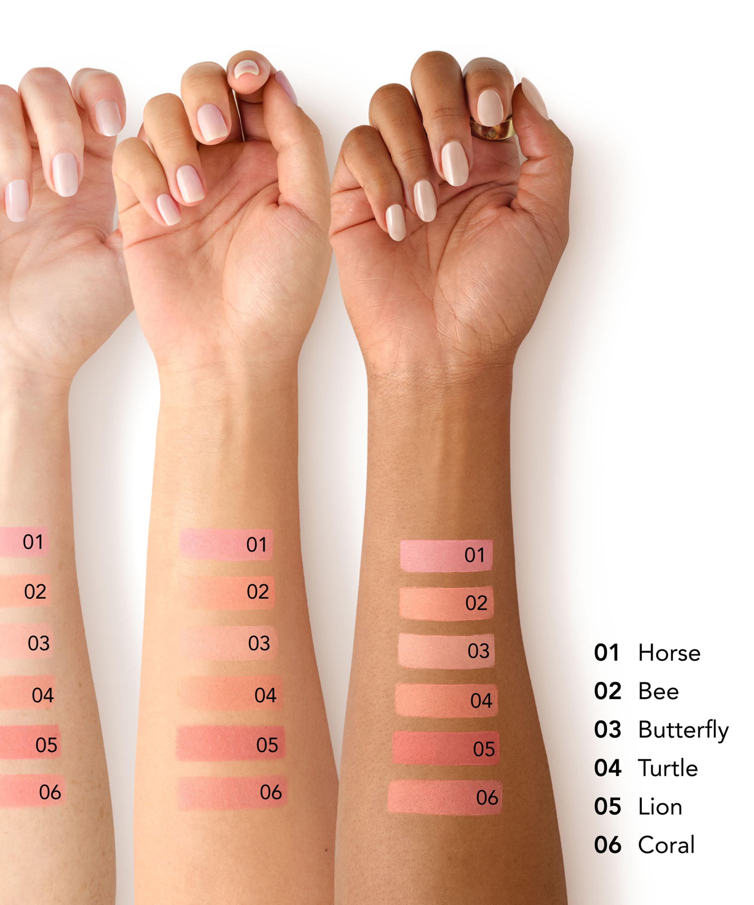 Chantecaille - Cheek Shade 2.5g image number 3