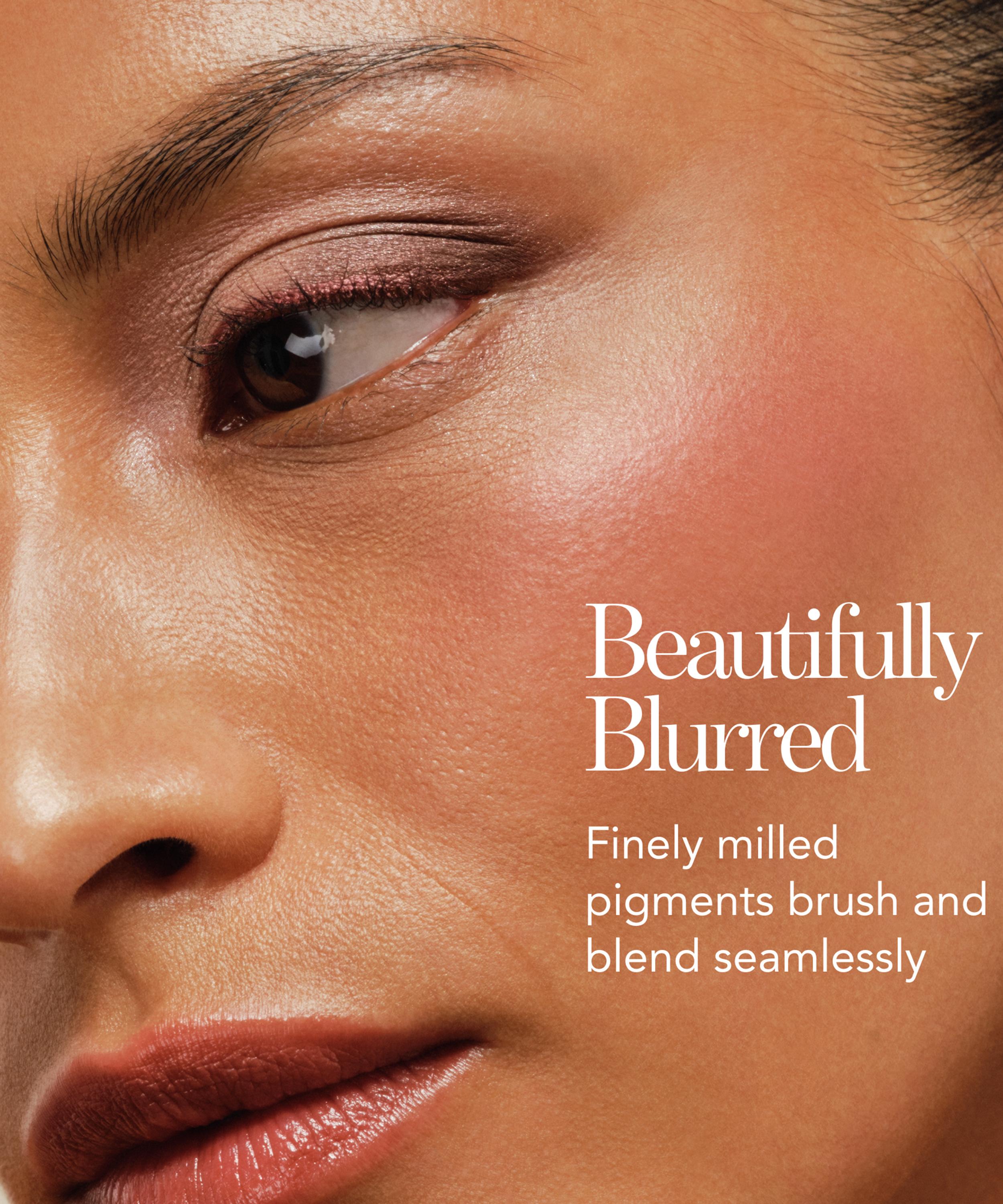 Chantecaille - Cheek Shade 2.5g image number 4