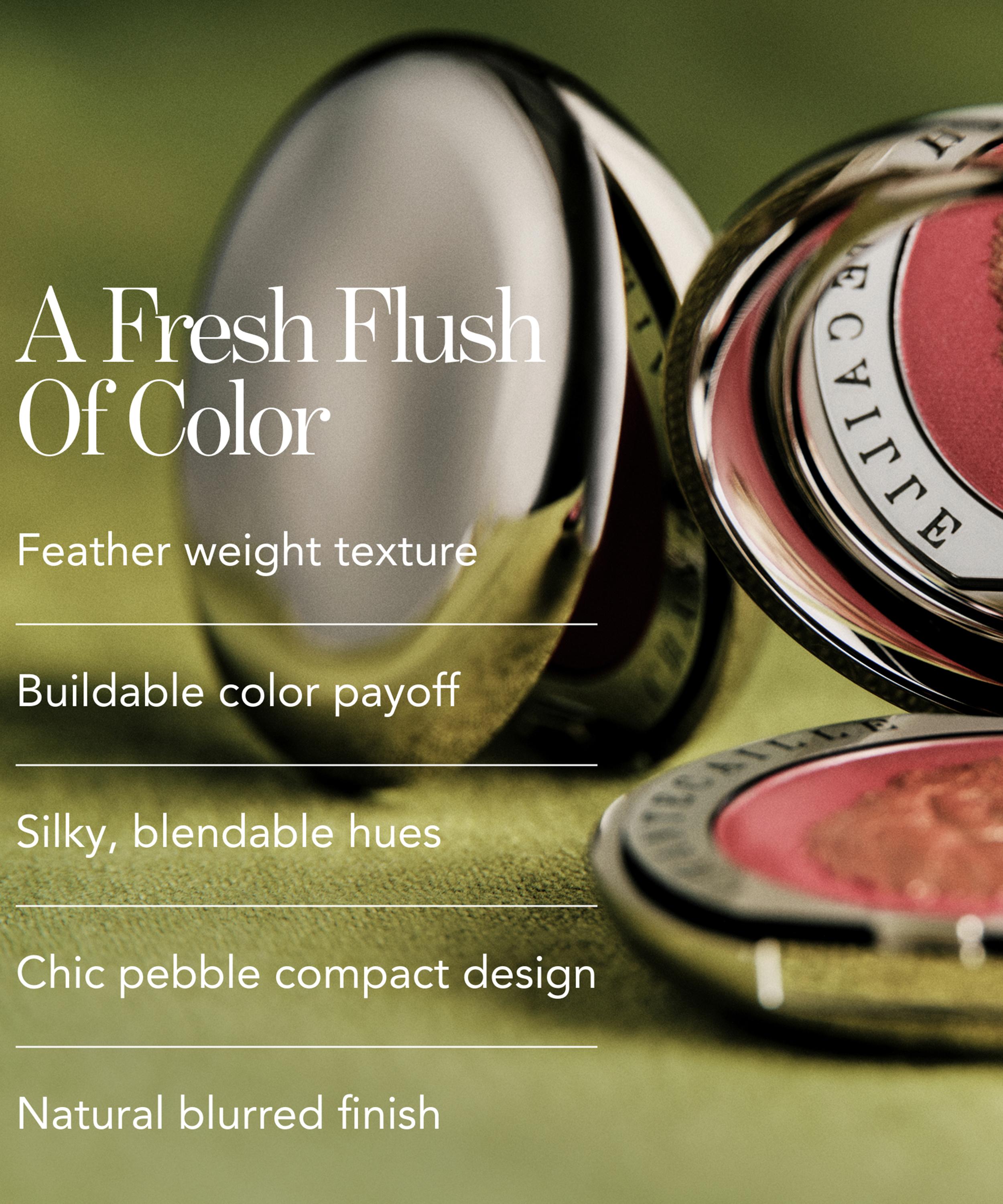 Chantecaille - Cheek Shade 2.5g image number 5