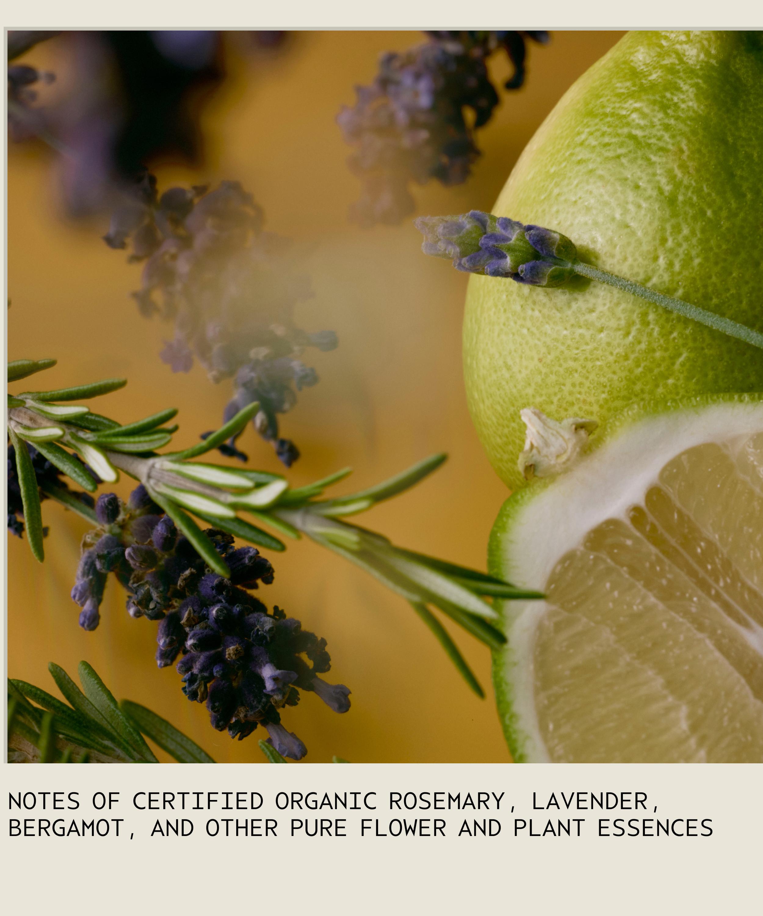 Aveda - Gift of Joy Body Gift Set image number 2