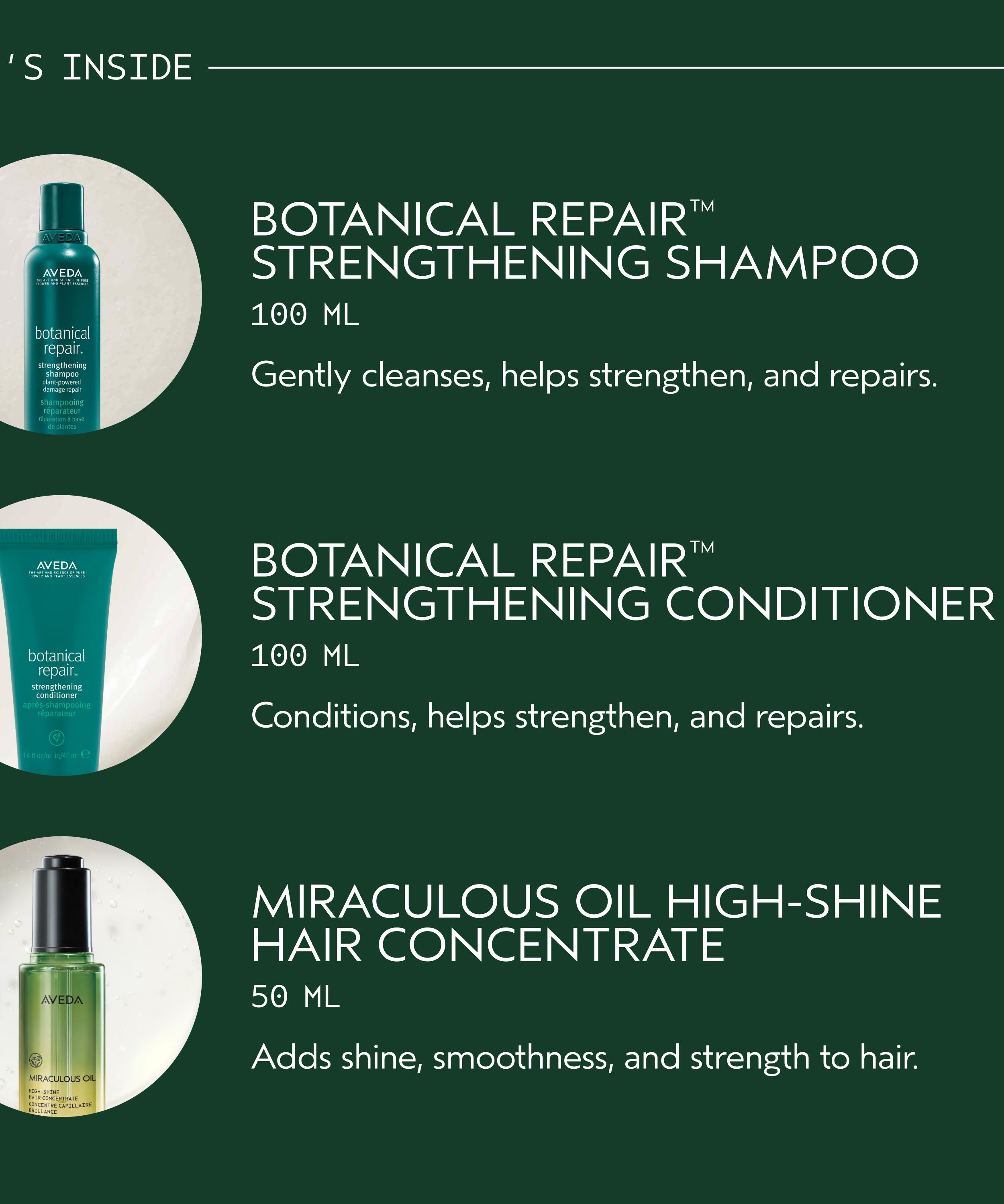 Aveda - Gift of Radiance Botanical Repair Gift Set image number 1
