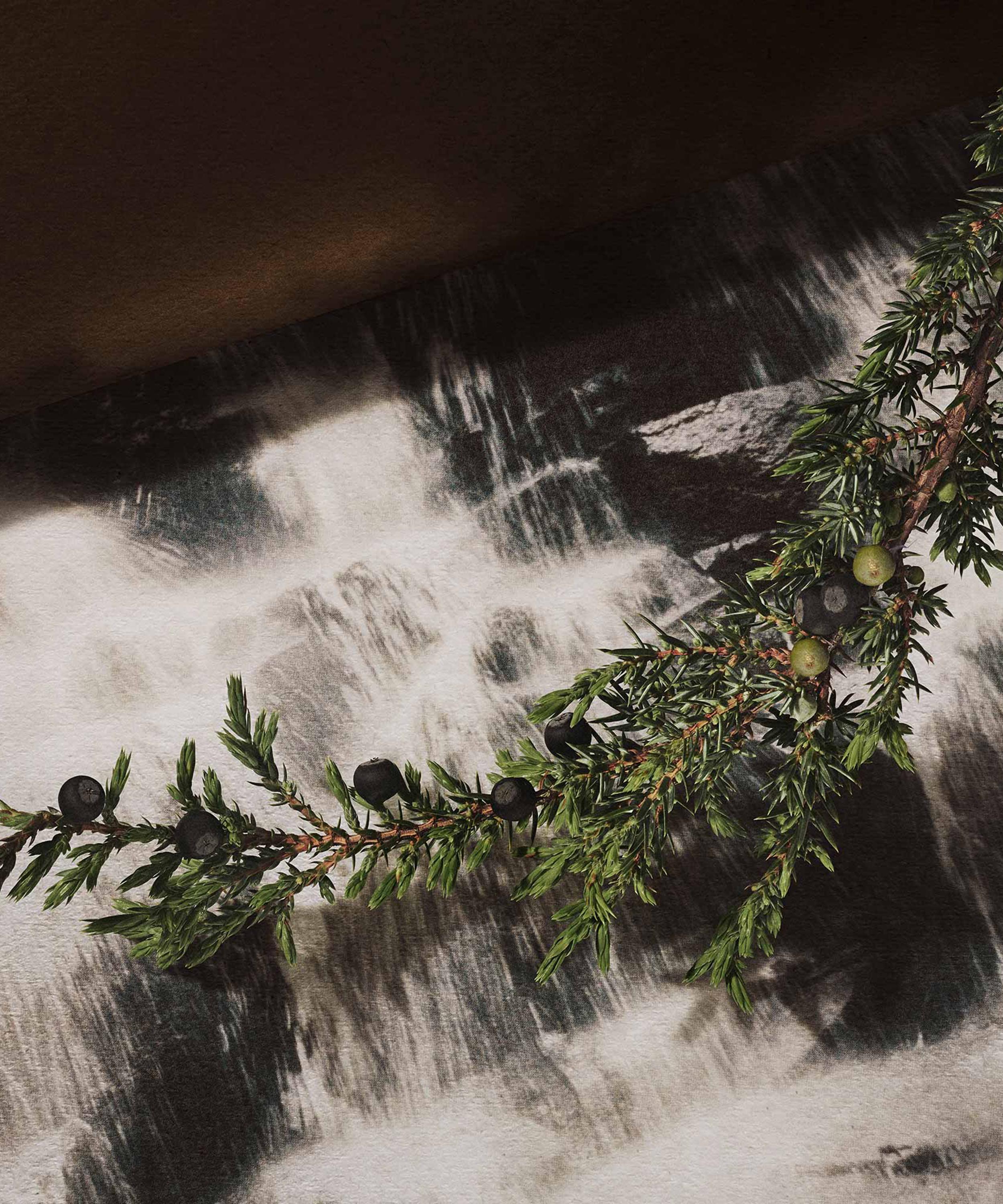 Aesop Eternal Karst Eau de Parfum 50ml | Liberty