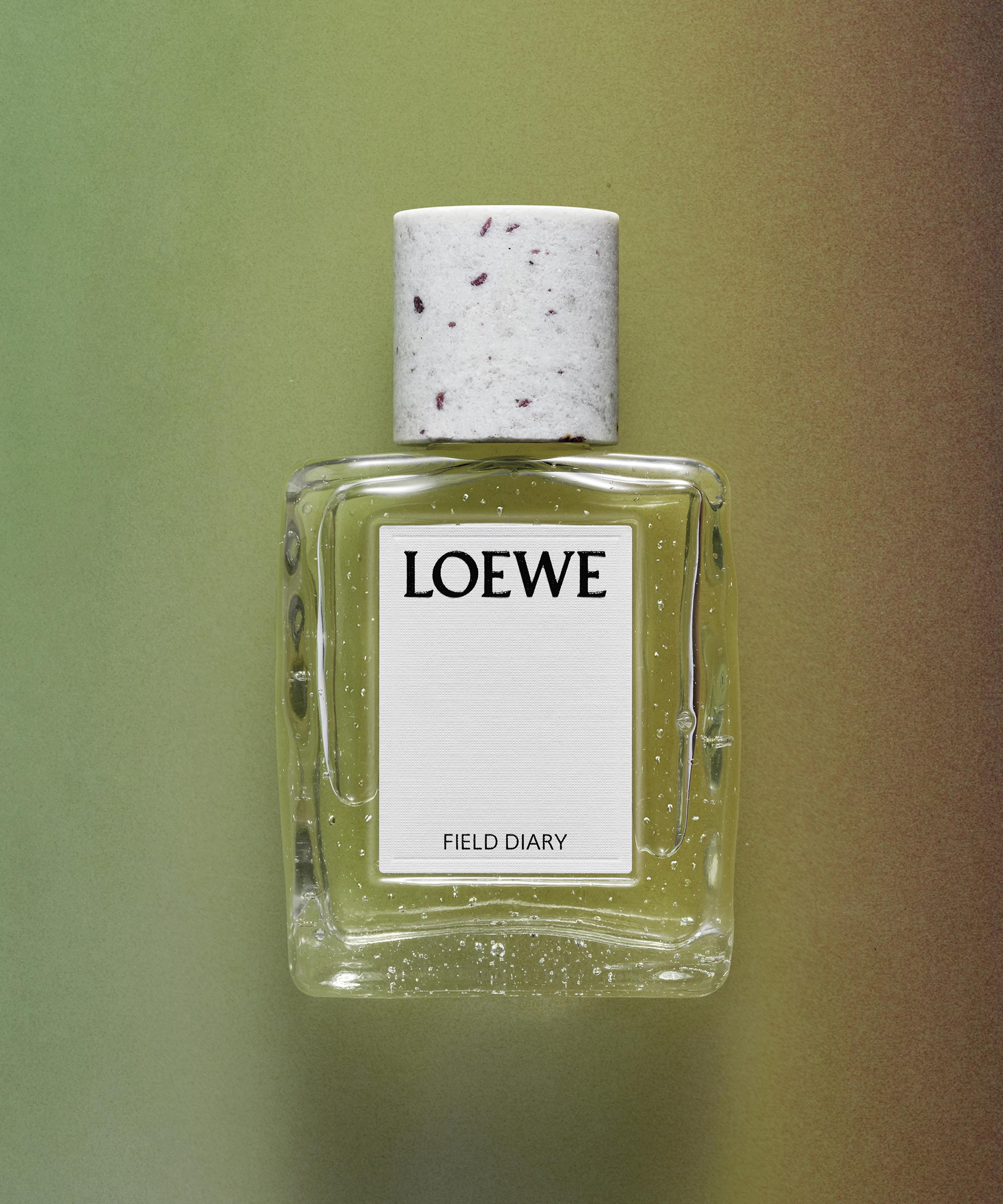 Loewe - Field Diary Eau de Parfum 100ml image number 3