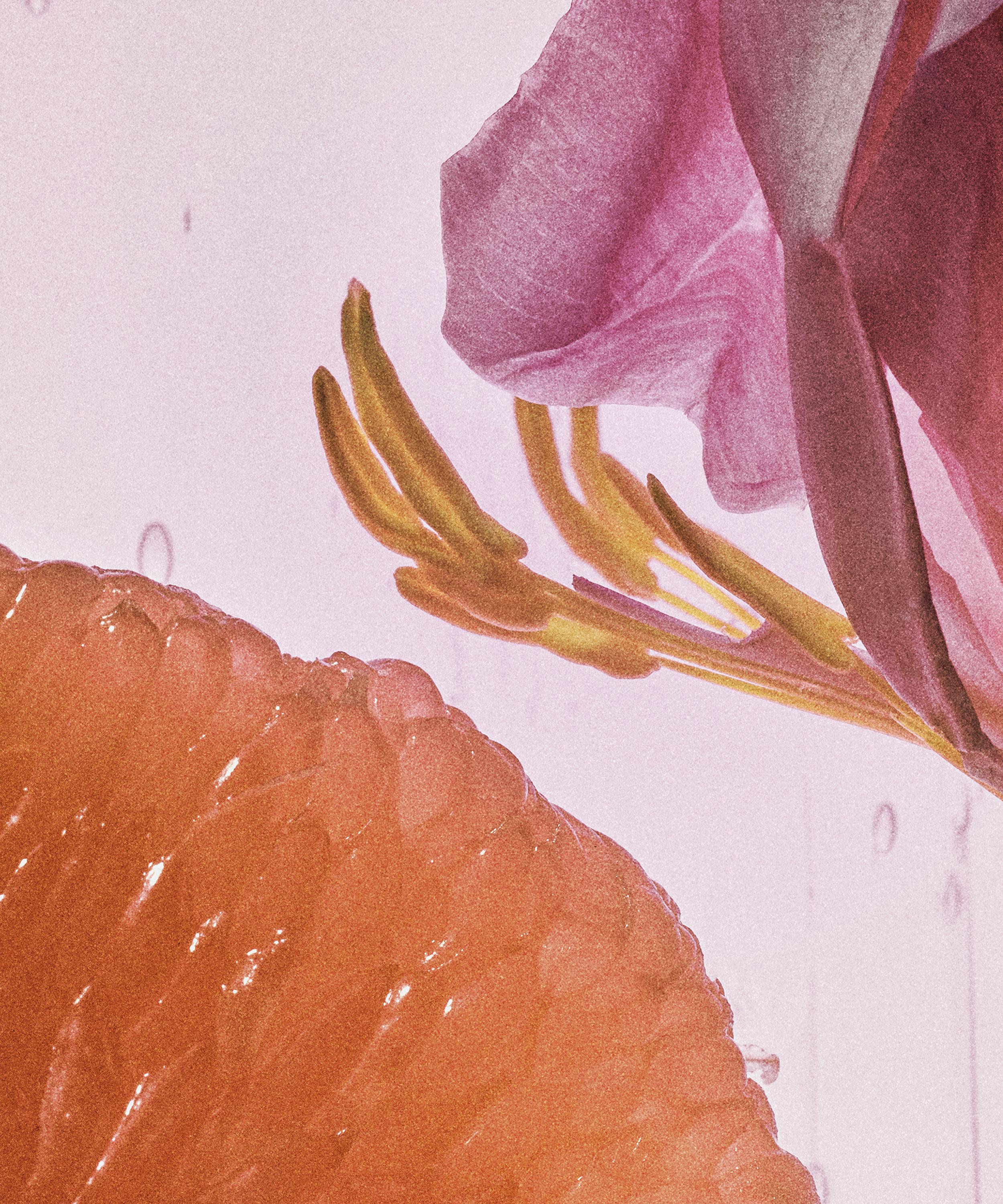 Loewe - Rosetopia Eau de Parfum 100ml image number 4