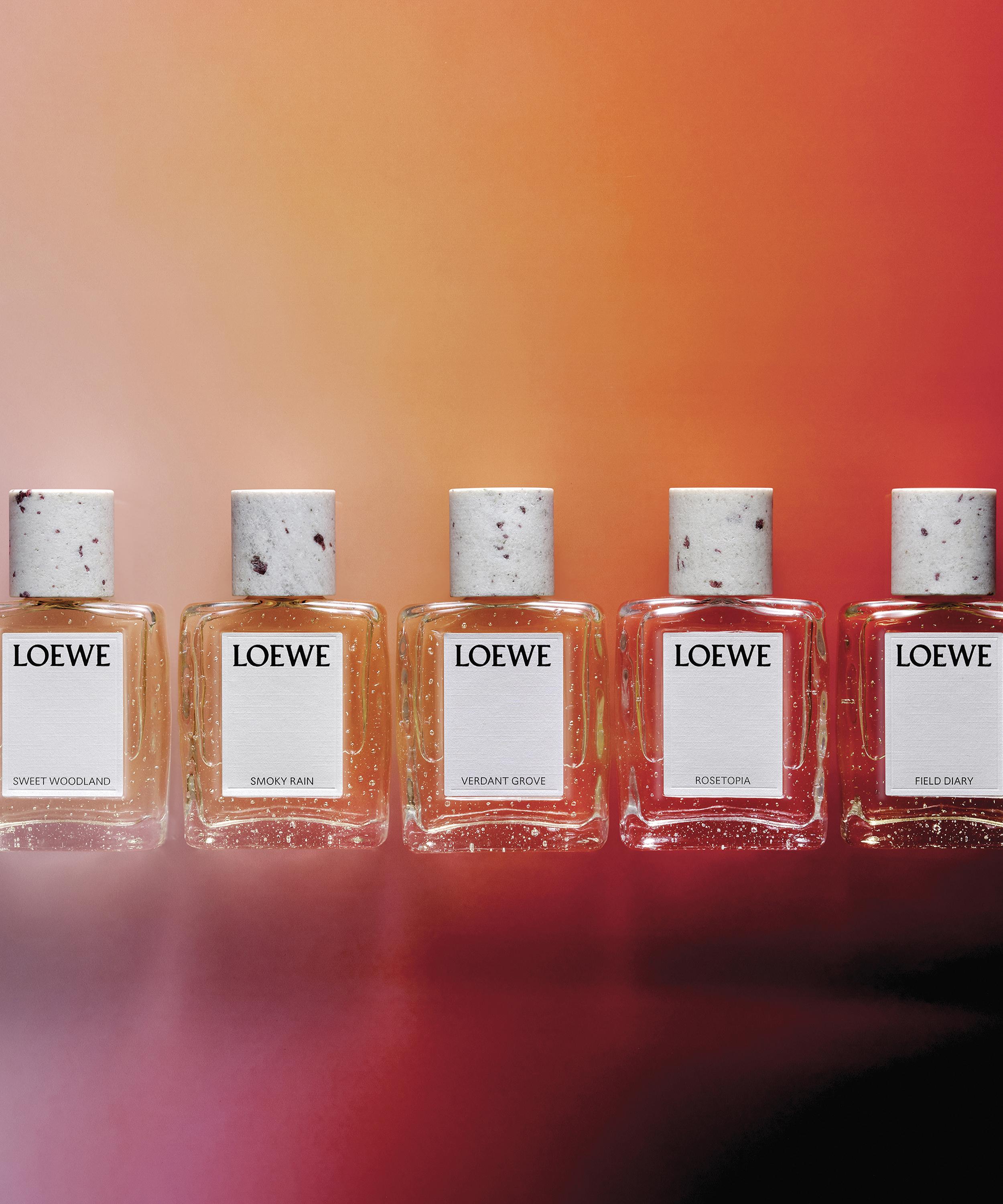Loewe - Rosetopia Eau de Parfum 100ml image number 5