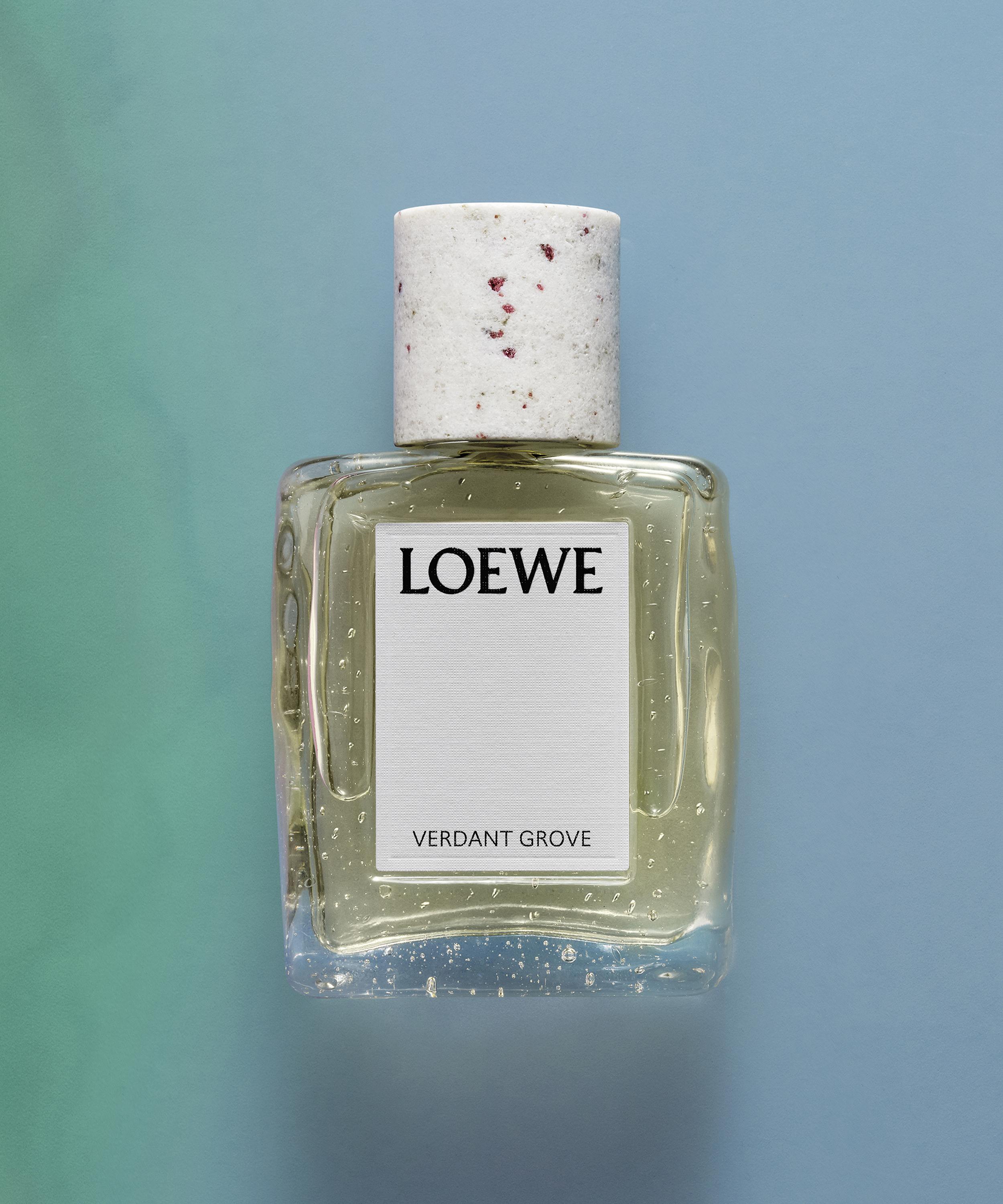 Loewe - Verdant Grove Eau de Parfum 100ml image number 3