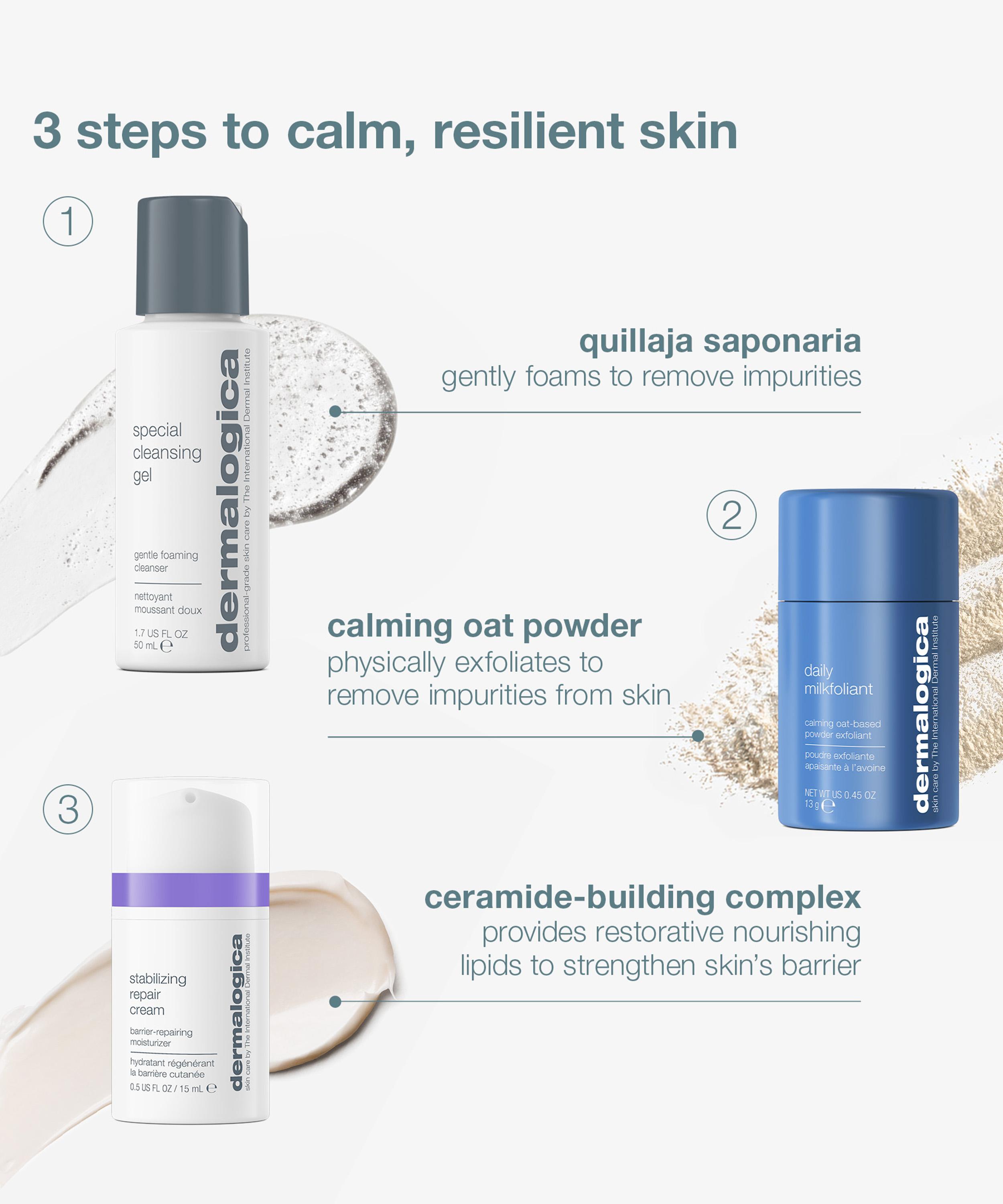 Dermalogica - Iconic Barrier Repair Set image number 3