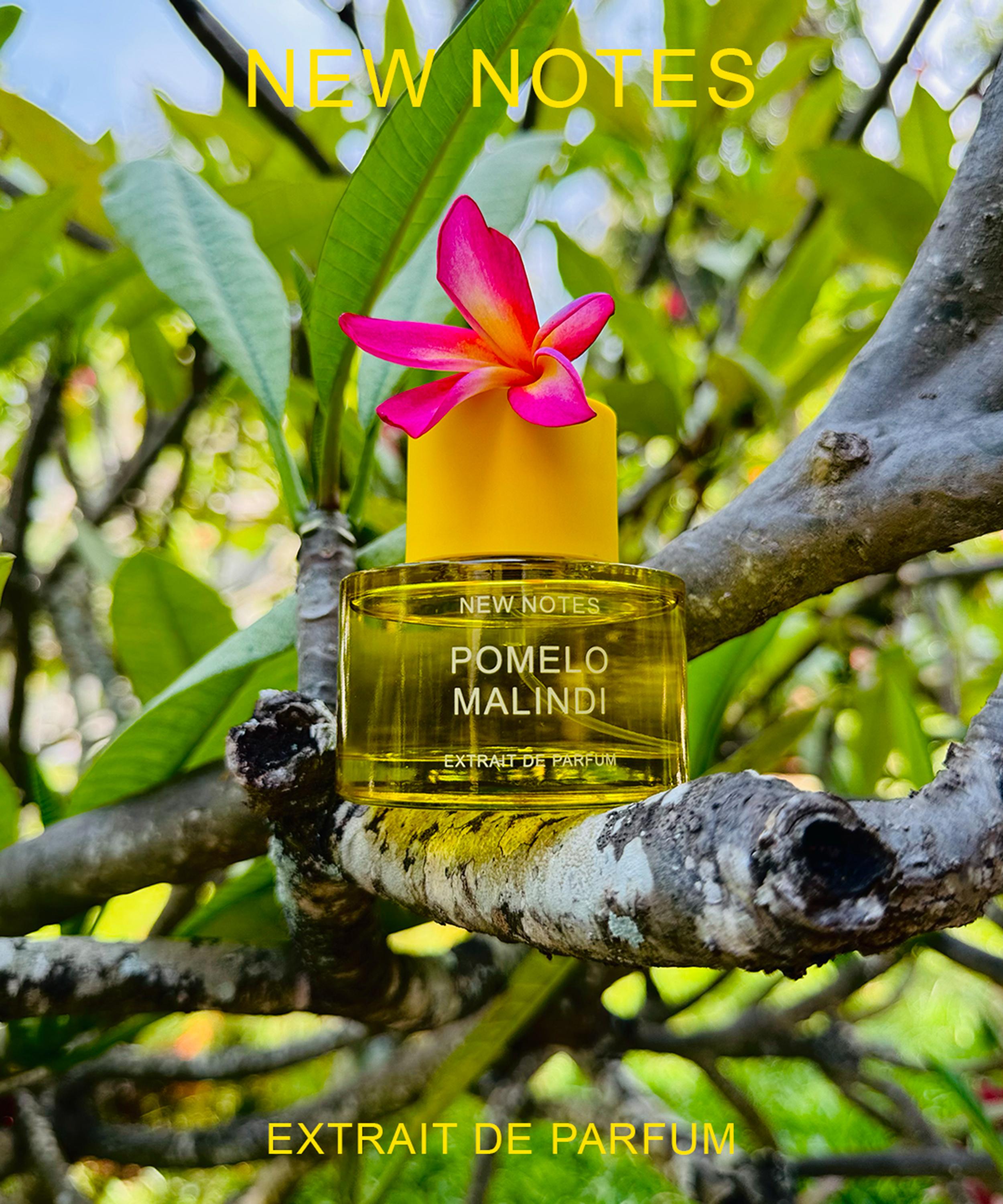New Notes - Pomelo Malindi Extrait de Parfum 60ml image number 3