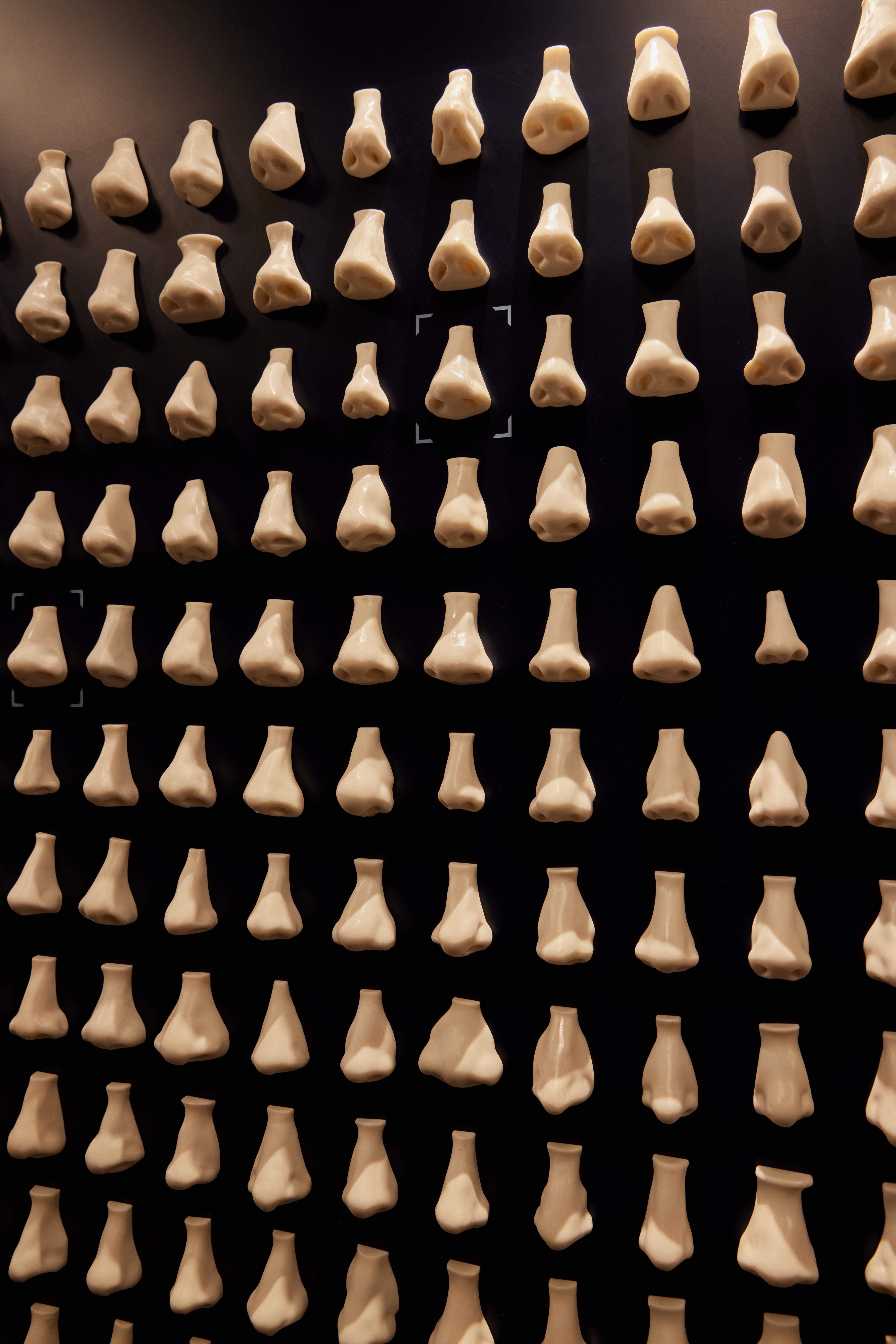 Discover the The Noseum in the Fragrance Lounge