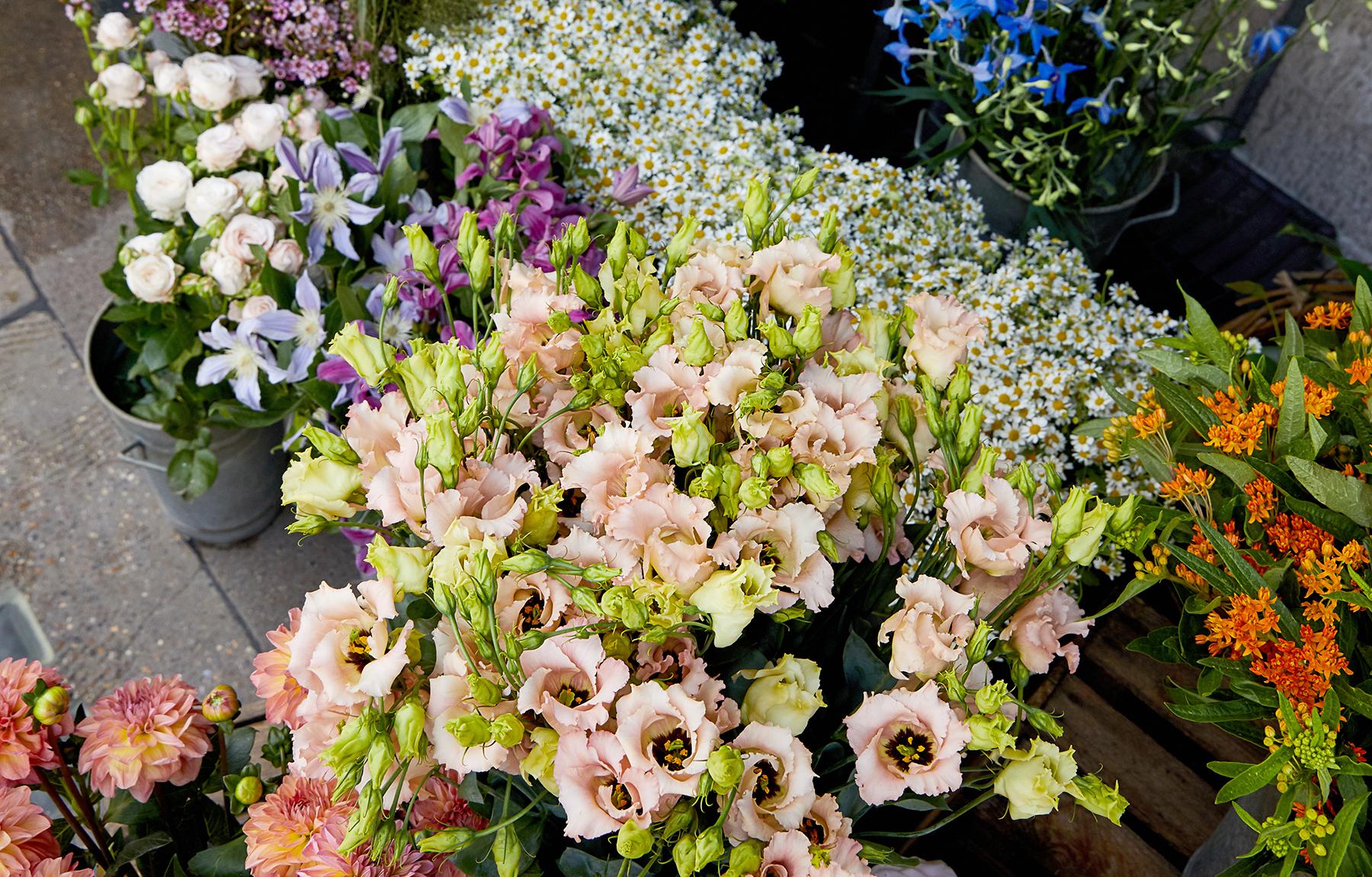 Nikki Tibbles Wild at Heart Florist