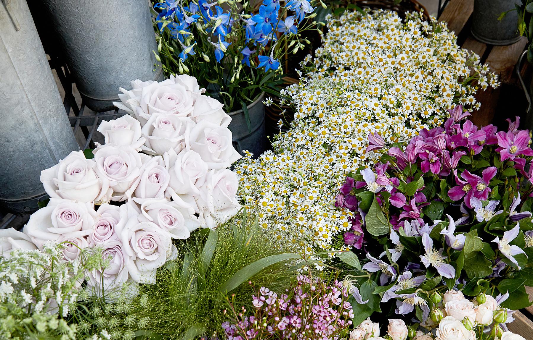 Nikki Tibbles Wild at Heart Florist