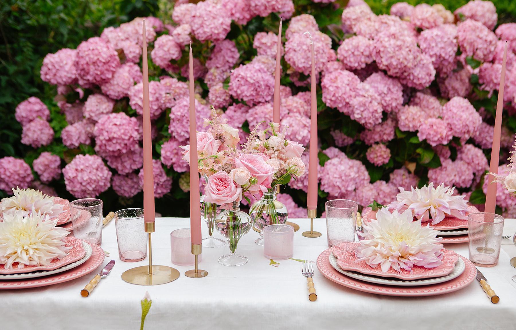 Nikki Tibbles Wild at Heart