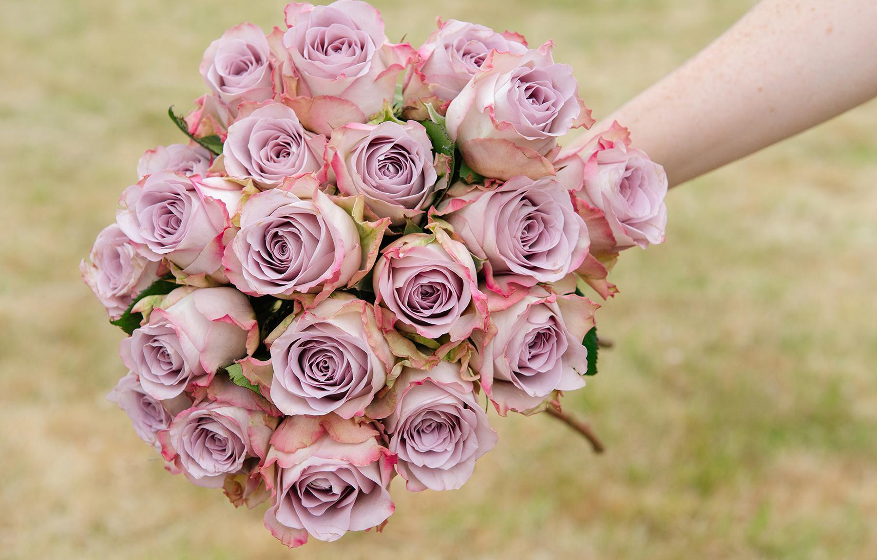 Nikki Tibbles Wild at Heart