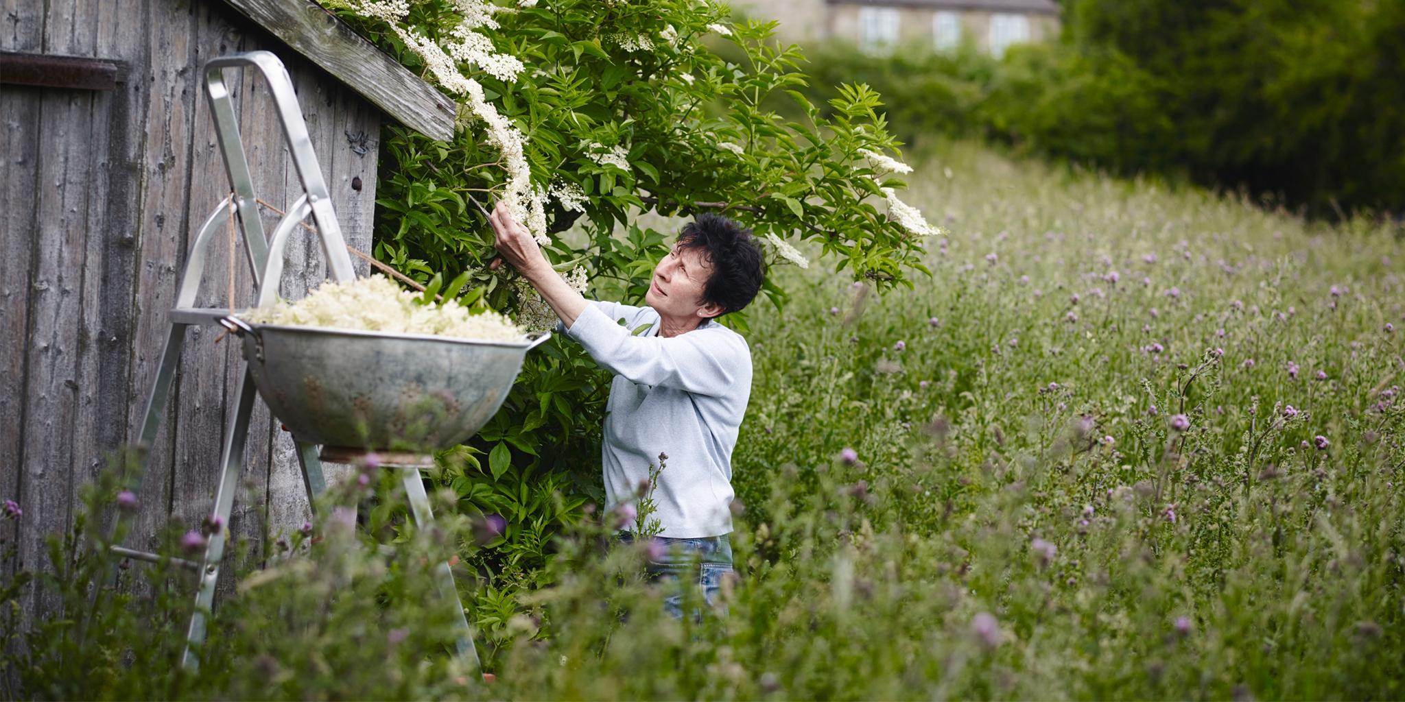 meet-the-producers-rosebud-preserves