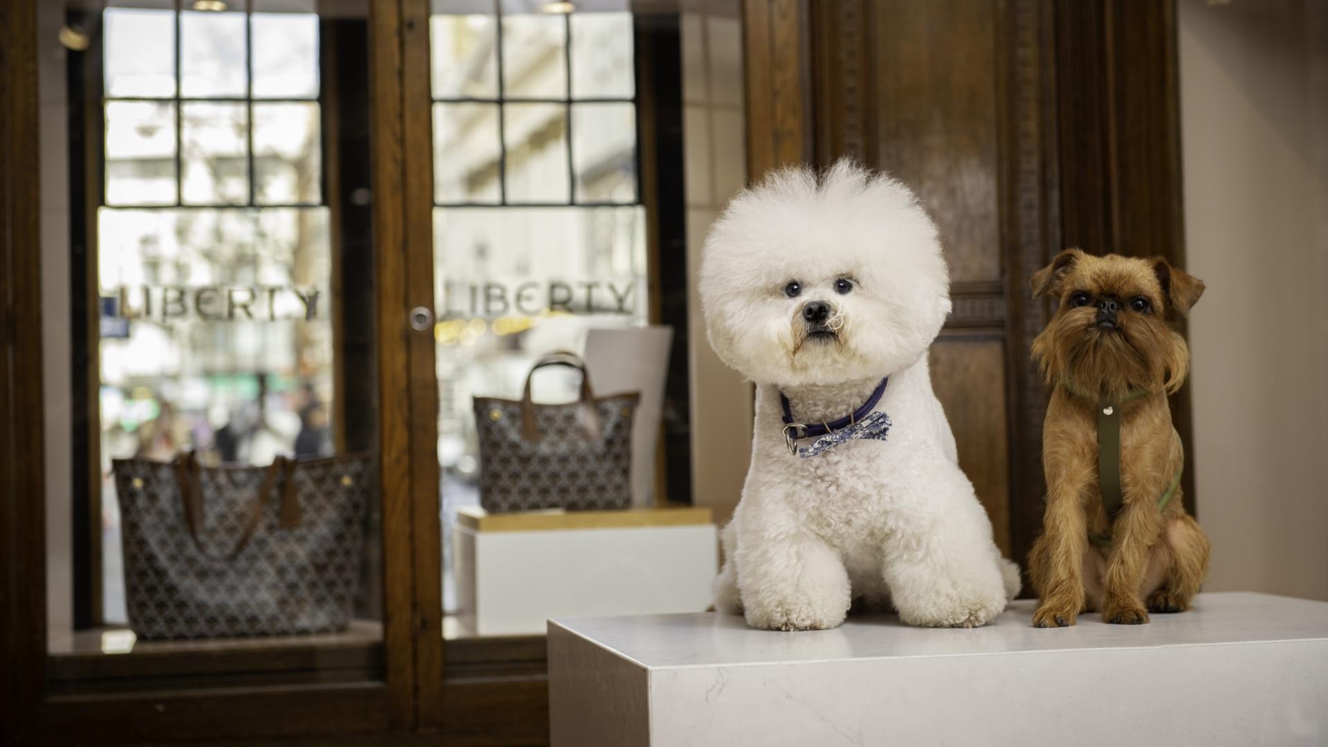 London Dog Grooming Company at Liberty