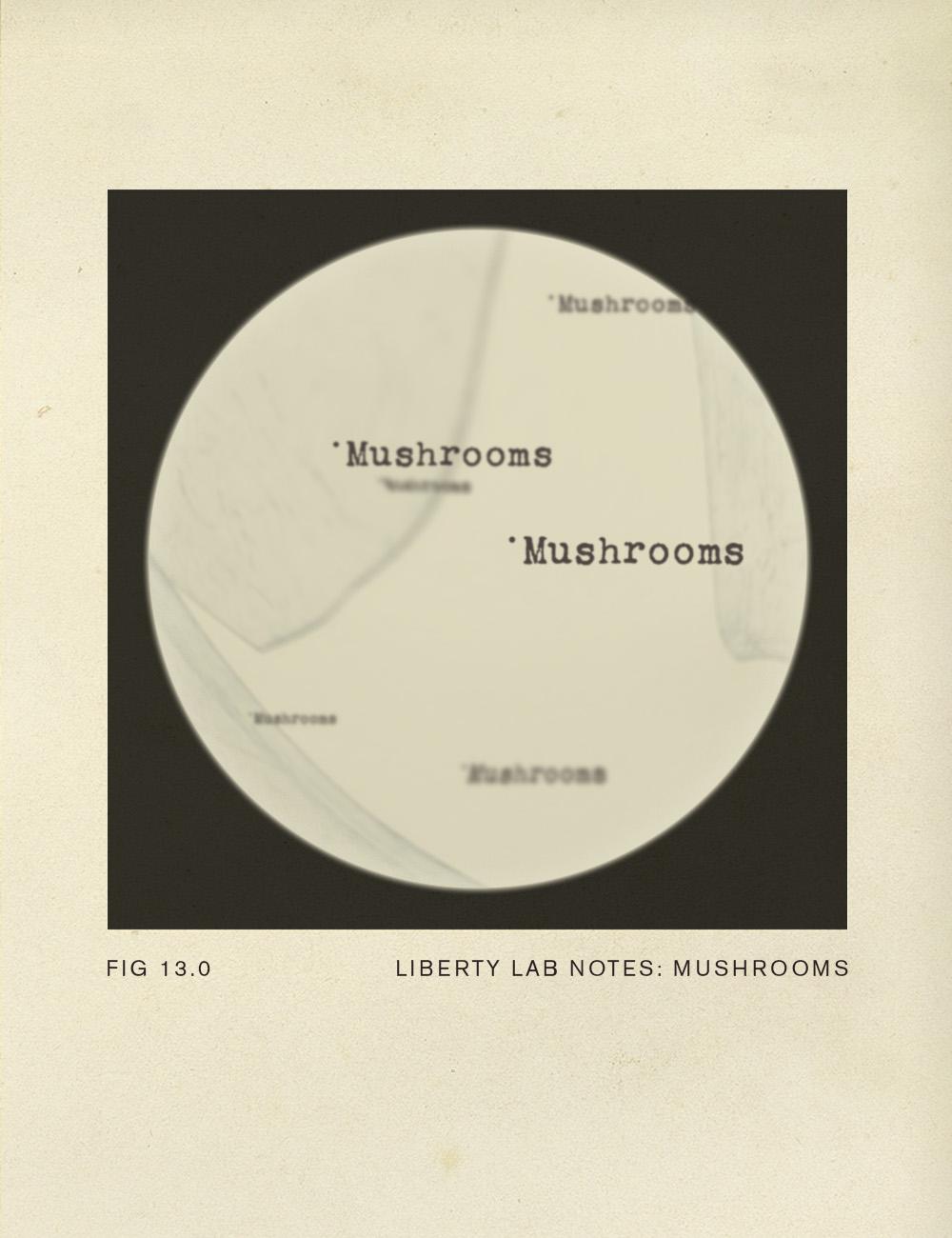 Liberty Lab Notes: Mushroom Skin Benefits