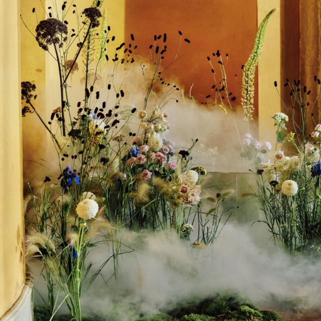 Liberty Beauty Coming soon: LBTY.  Register Your Interest