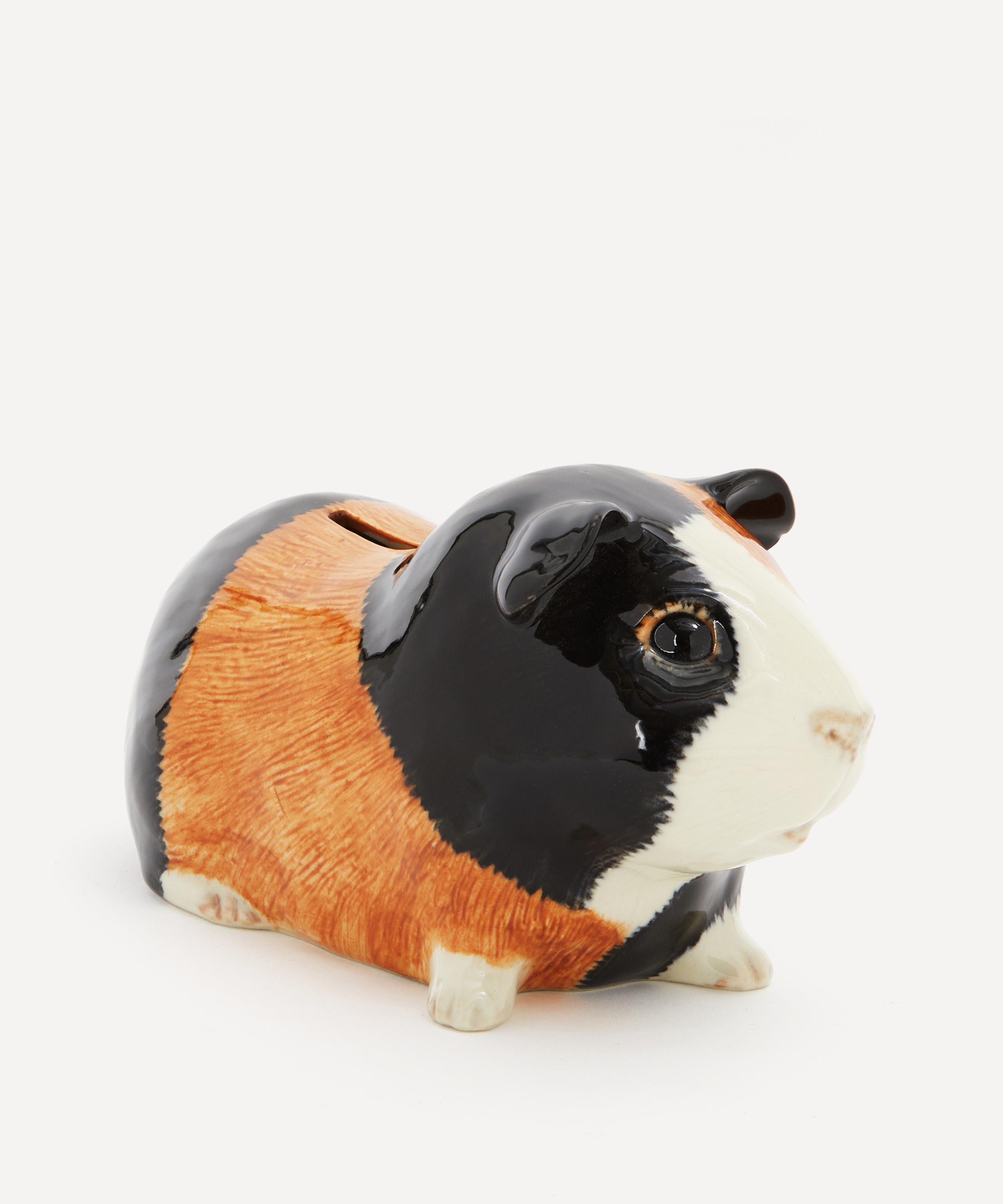 Quail - Guinea Pig Money Box image number 1