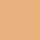 Future Skin Foundation 30g