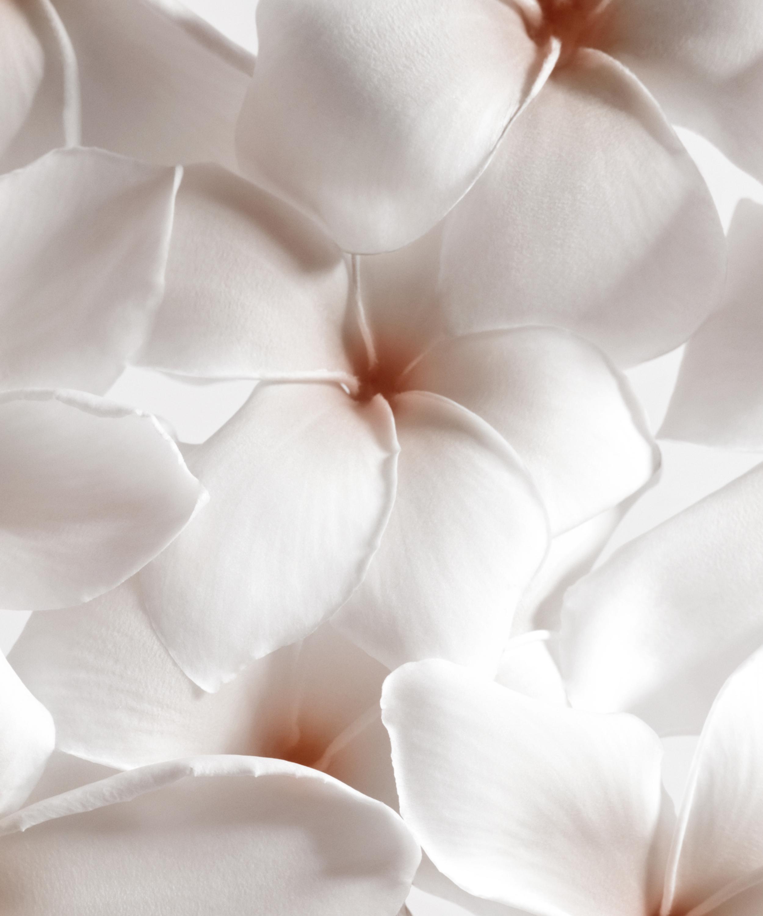 Chantecaille - Tiare Eau De Parfum 75ml image number 1