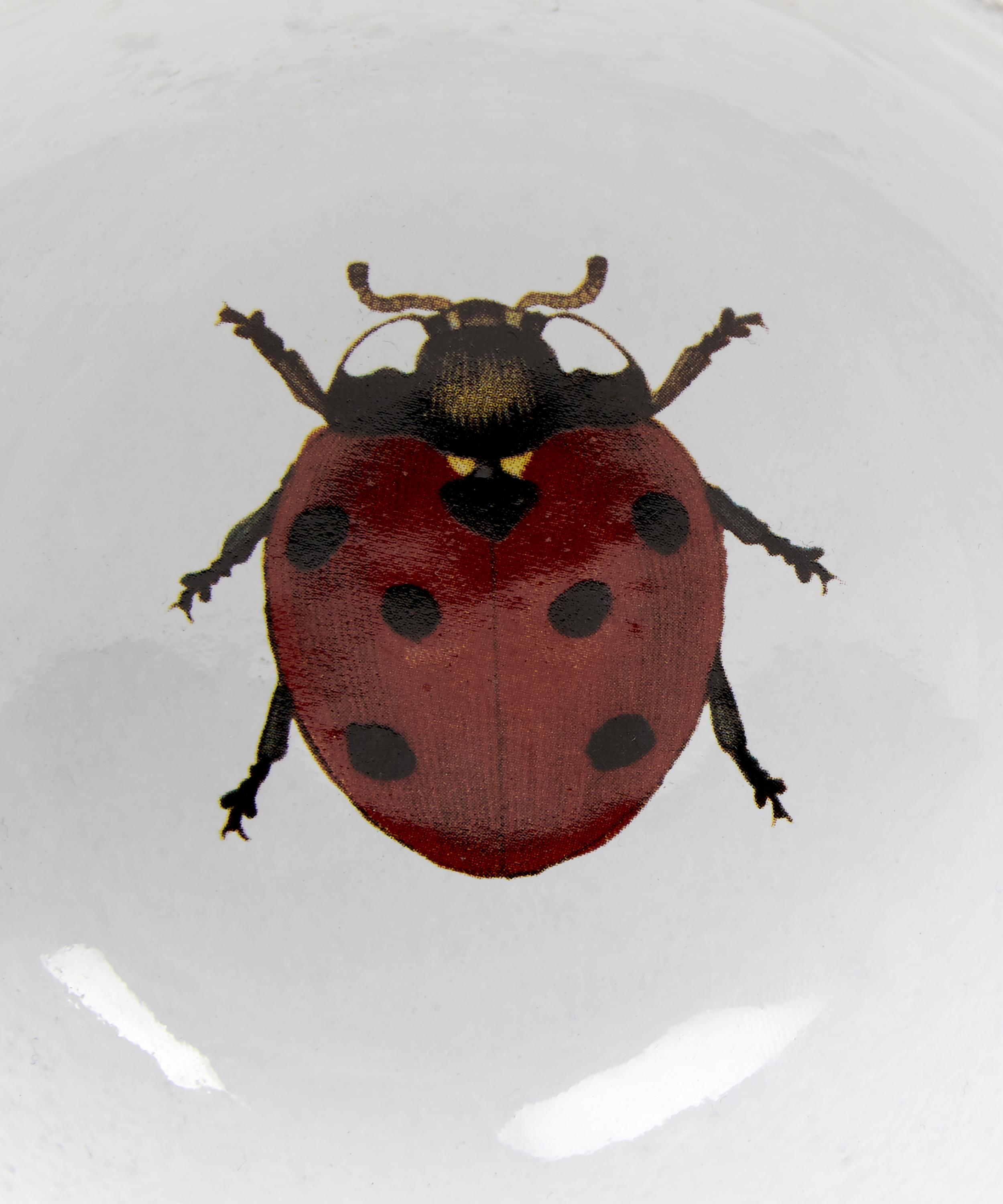 Astier de Villatte - Ladybird Soup Bowl image number 3