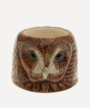 Tawny Owl Face Egg Cup