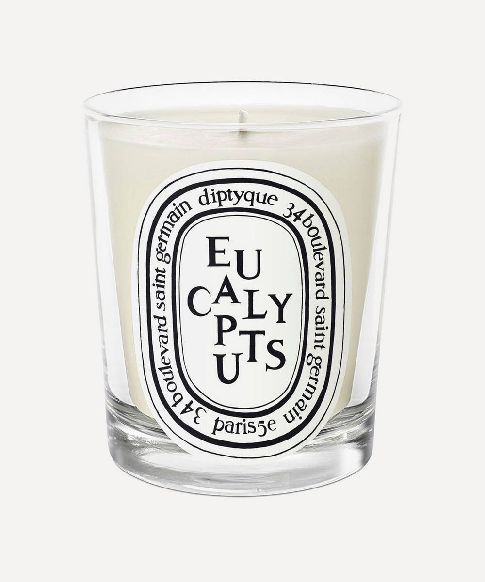 Diptyque Eucalyptus Scented Candle 190g | Liberty