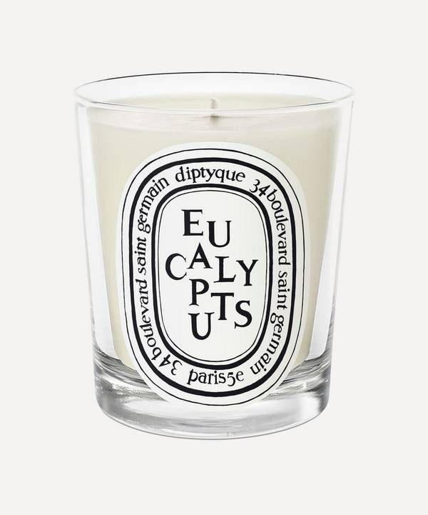 Diptyque - Eucalyptus Scented Candle 190g image number 0