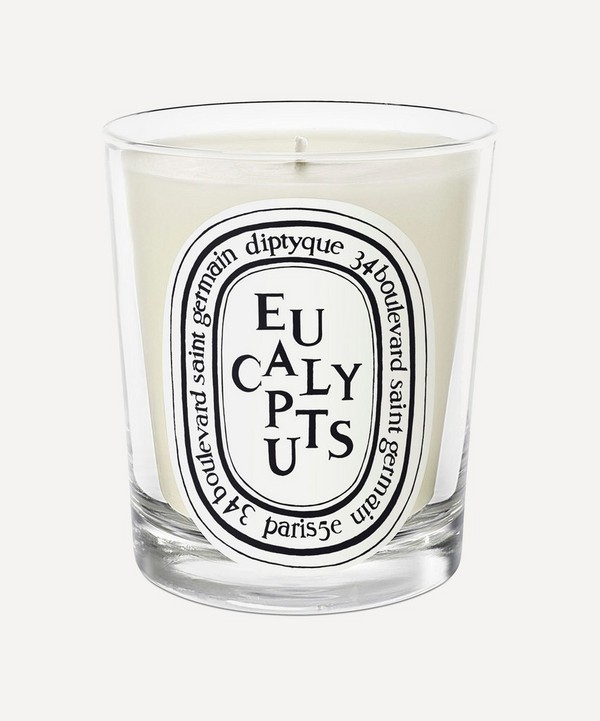 Diptyque - Eucalyptus Scented Candle 190g image number null