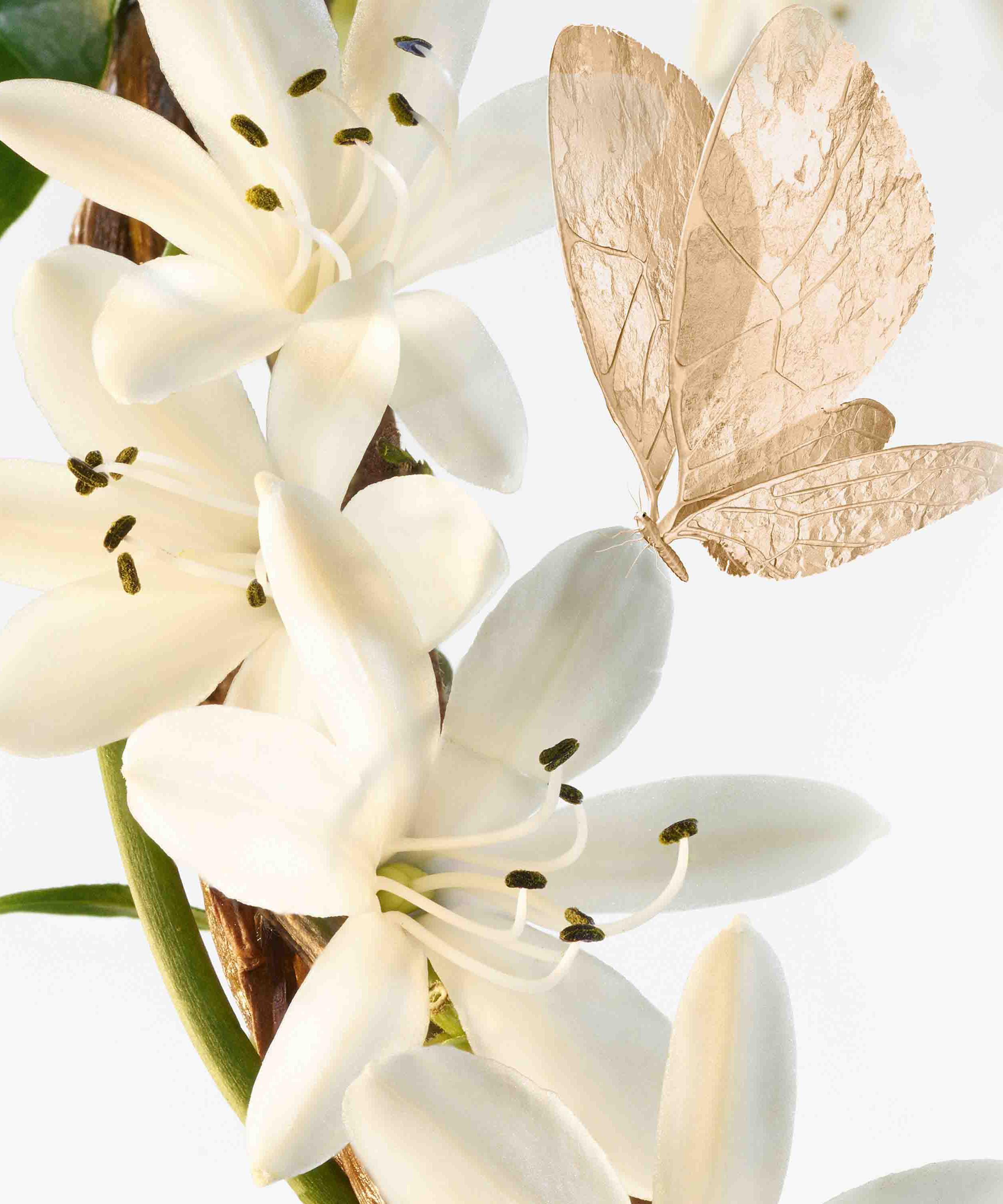 Goutal - Le Chèvrefeuille Eau de Toilette 100ml image number 2