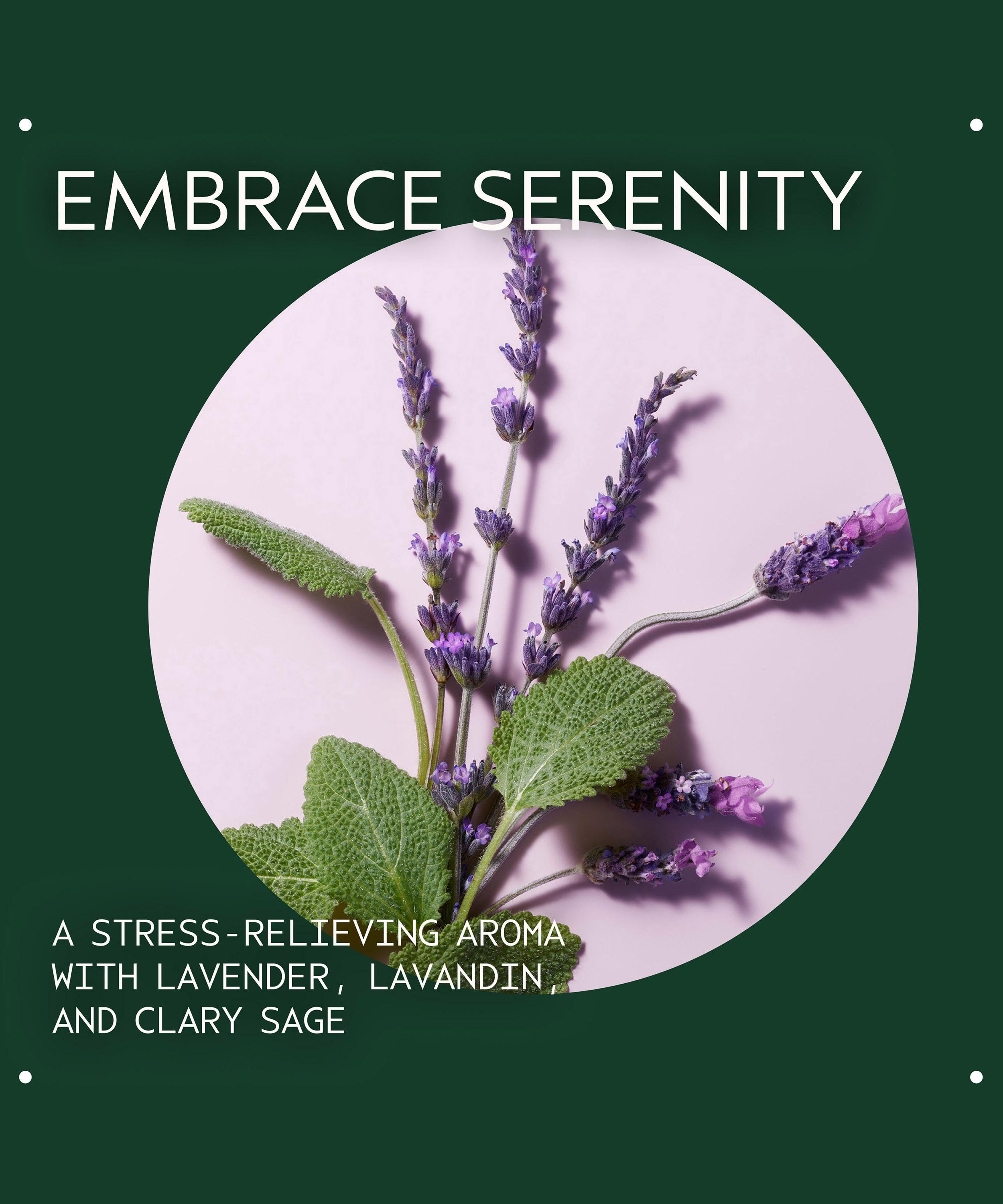 Aveda - Stress Fix Soaking Salts 454g image number 2