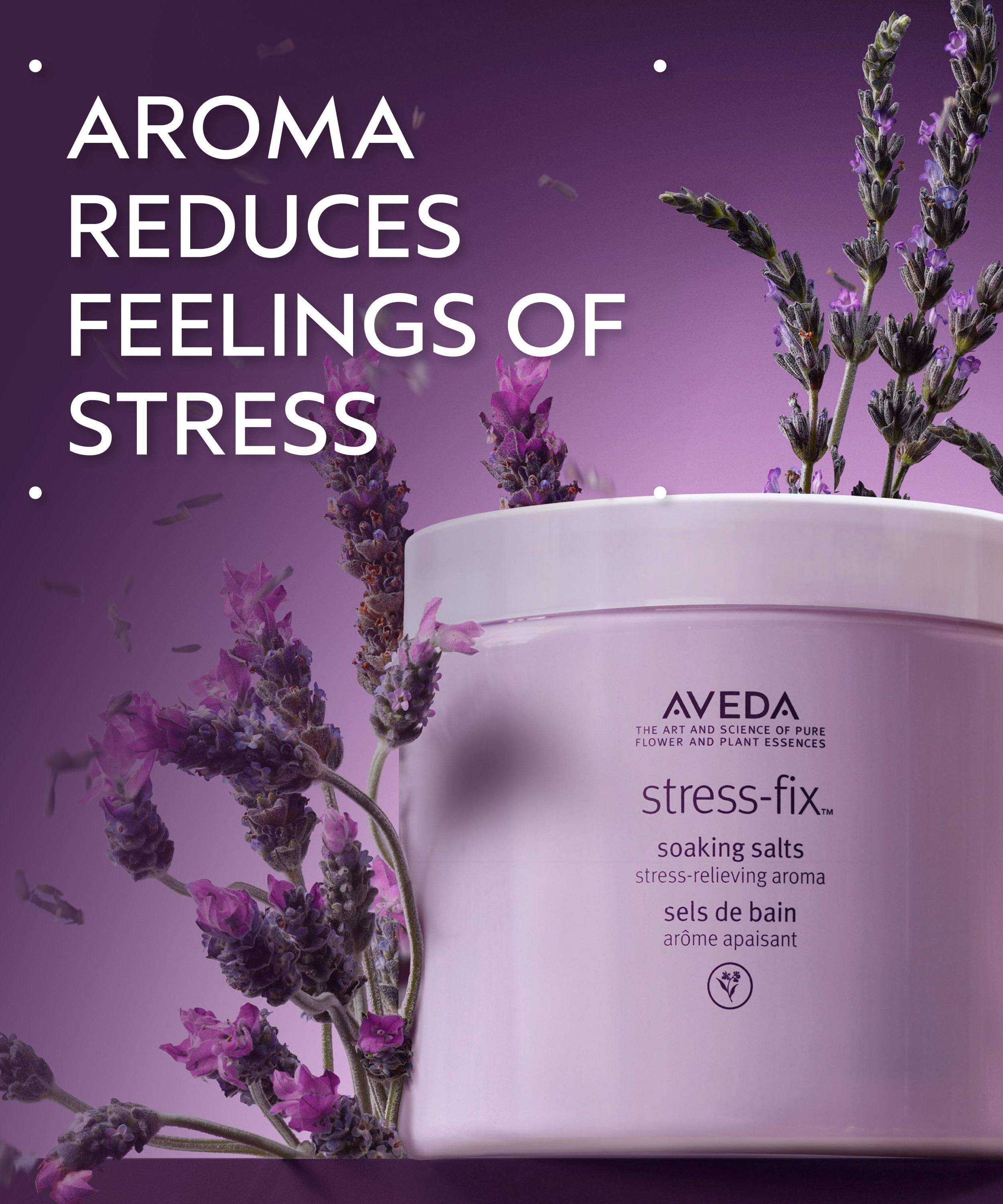 Aveda - Stress Fix Soaking Salts 454g image number 3