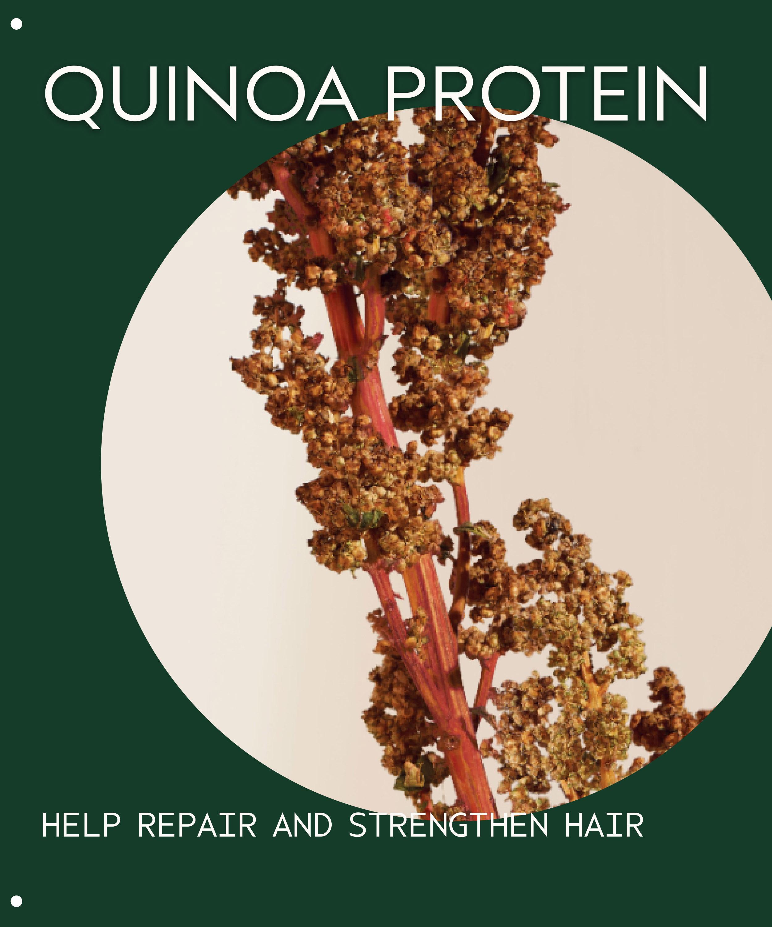 Aveda - Damage Remedy Restructuring Shampoo 250ml image number 4