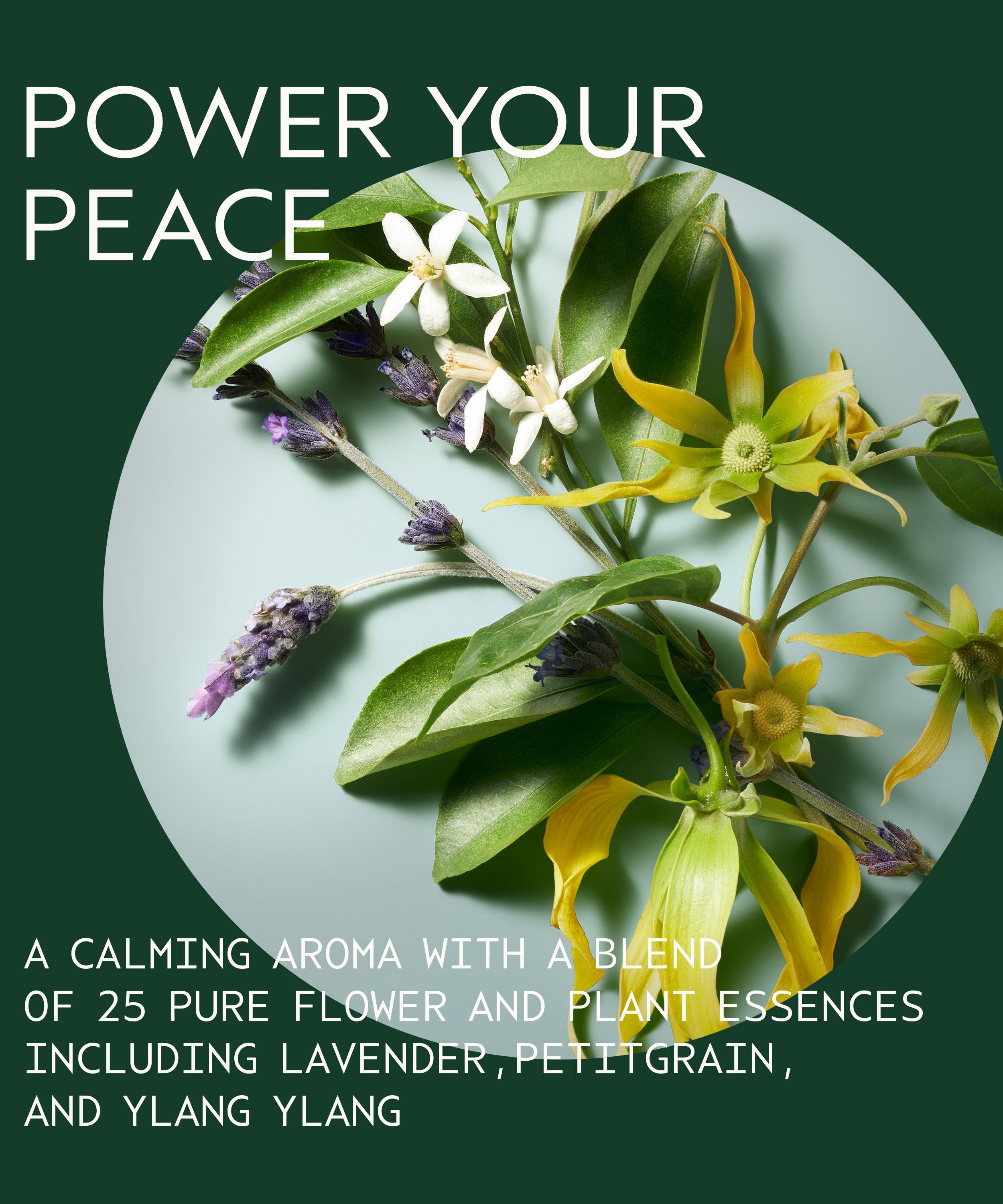 Aveda - Shampure Nurturing Shampoo 1000ml image number 4