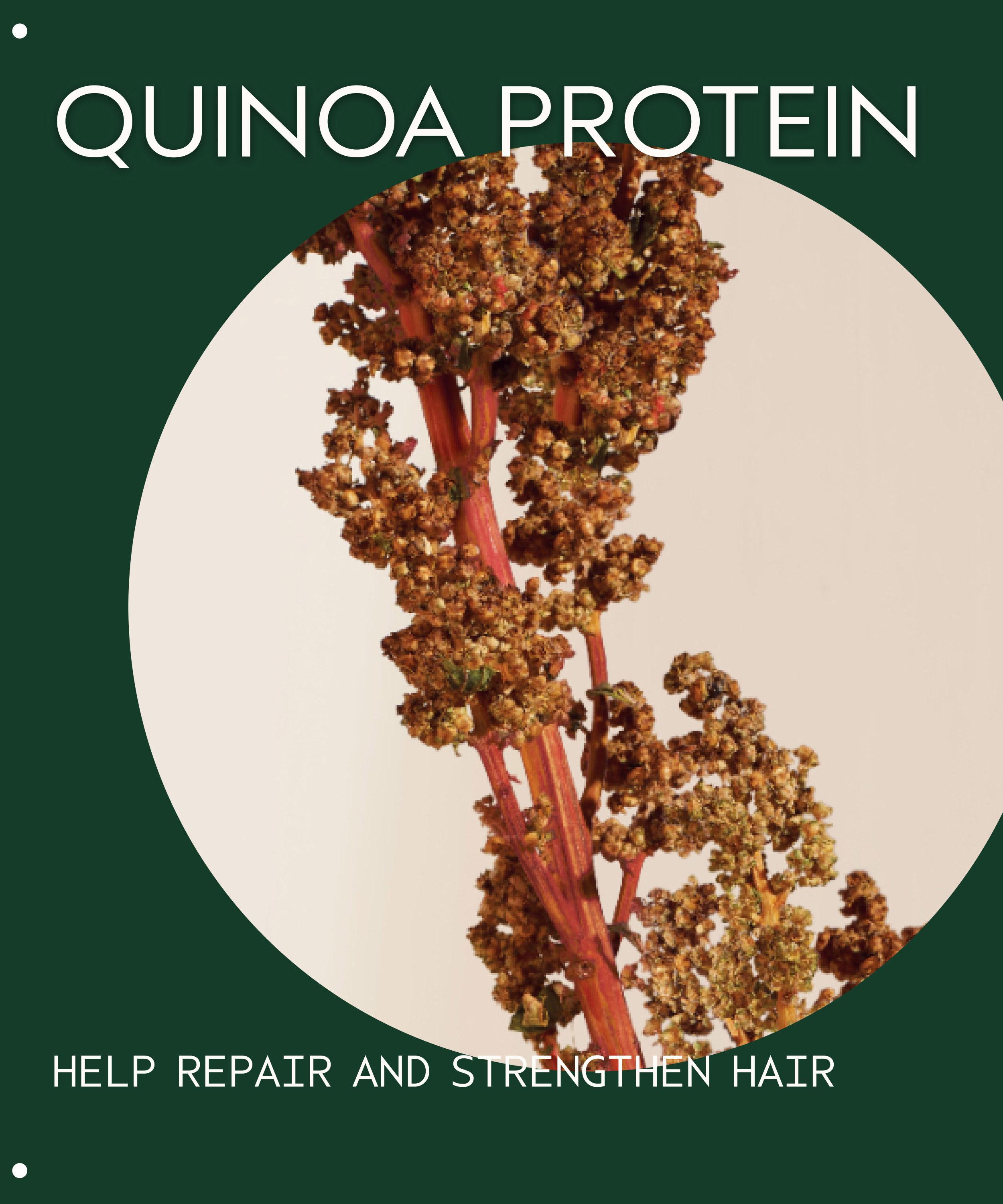 Aveda - Damage Remedy Restructuring Conditioner 200ml image number 4