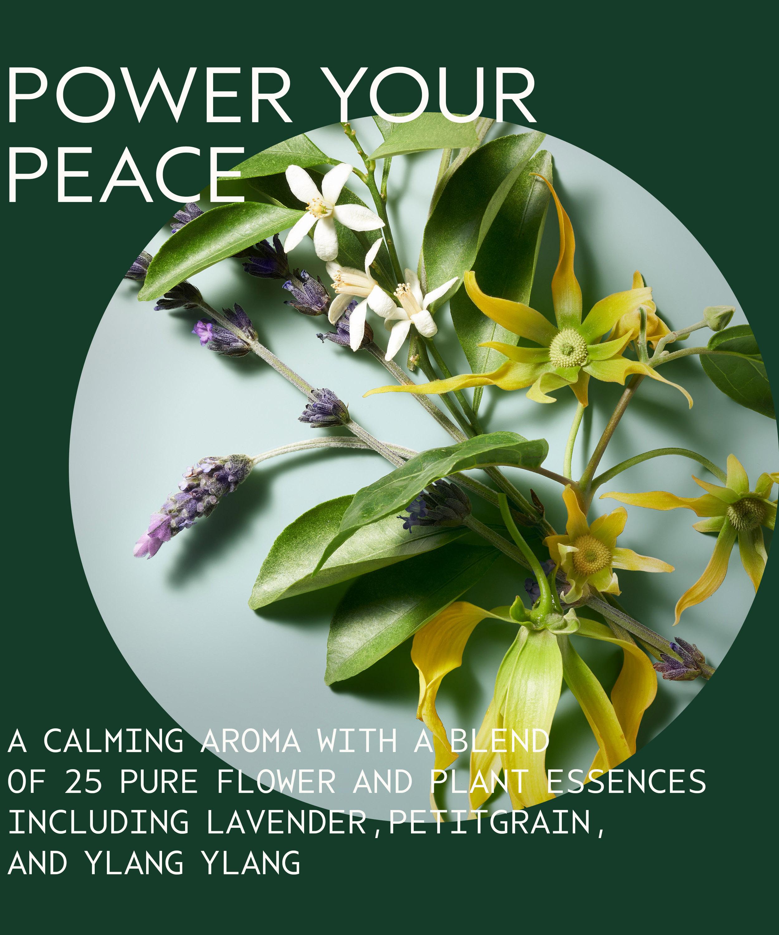 Aveda - Shampure Nurturing Conditioner 250ml image number 4