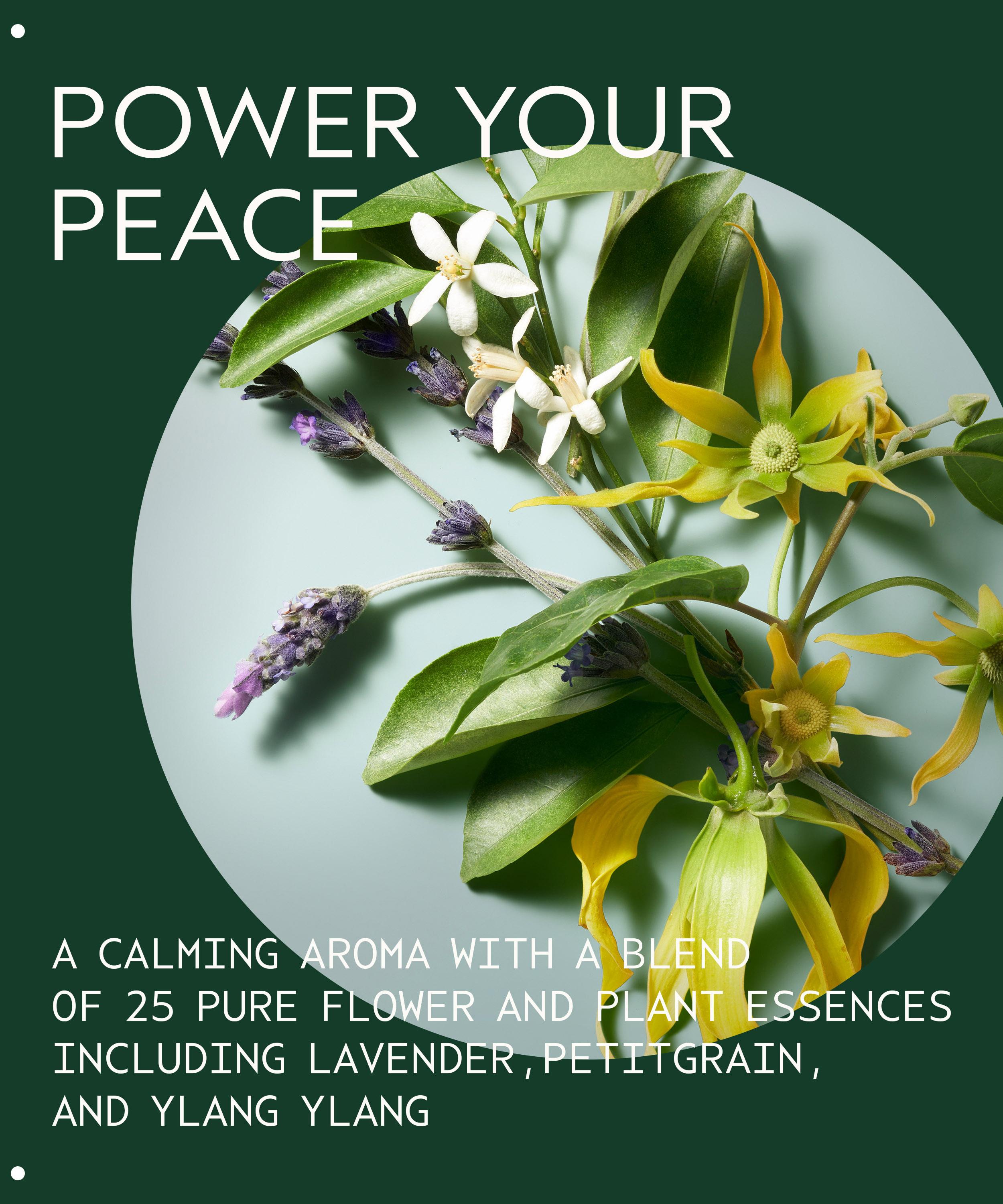 Aveda - Shampure Nurturing Conditioner 1000ml image number 3