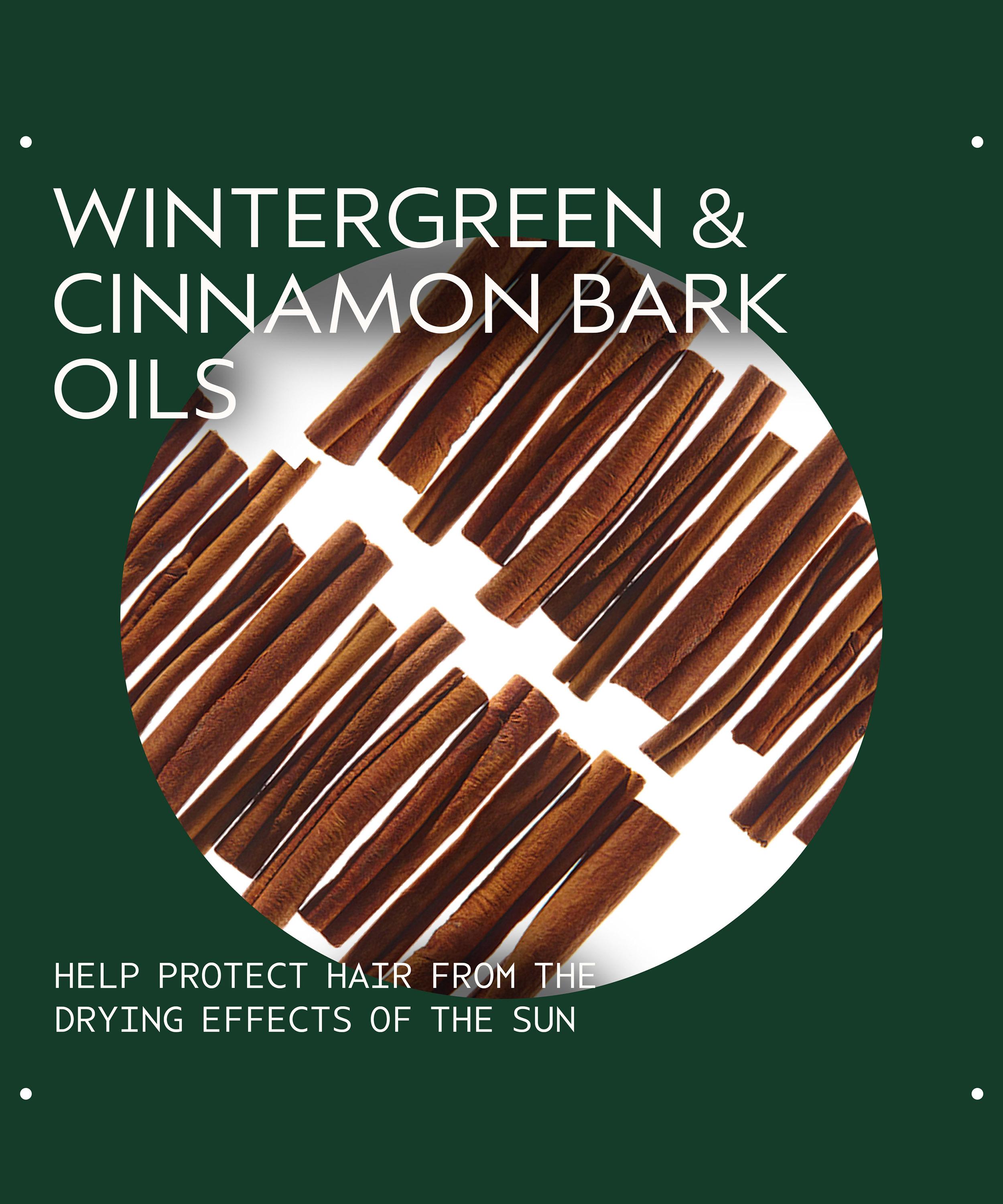 Aveda - Sun Care Protective Hair Veil 100ml image number 3