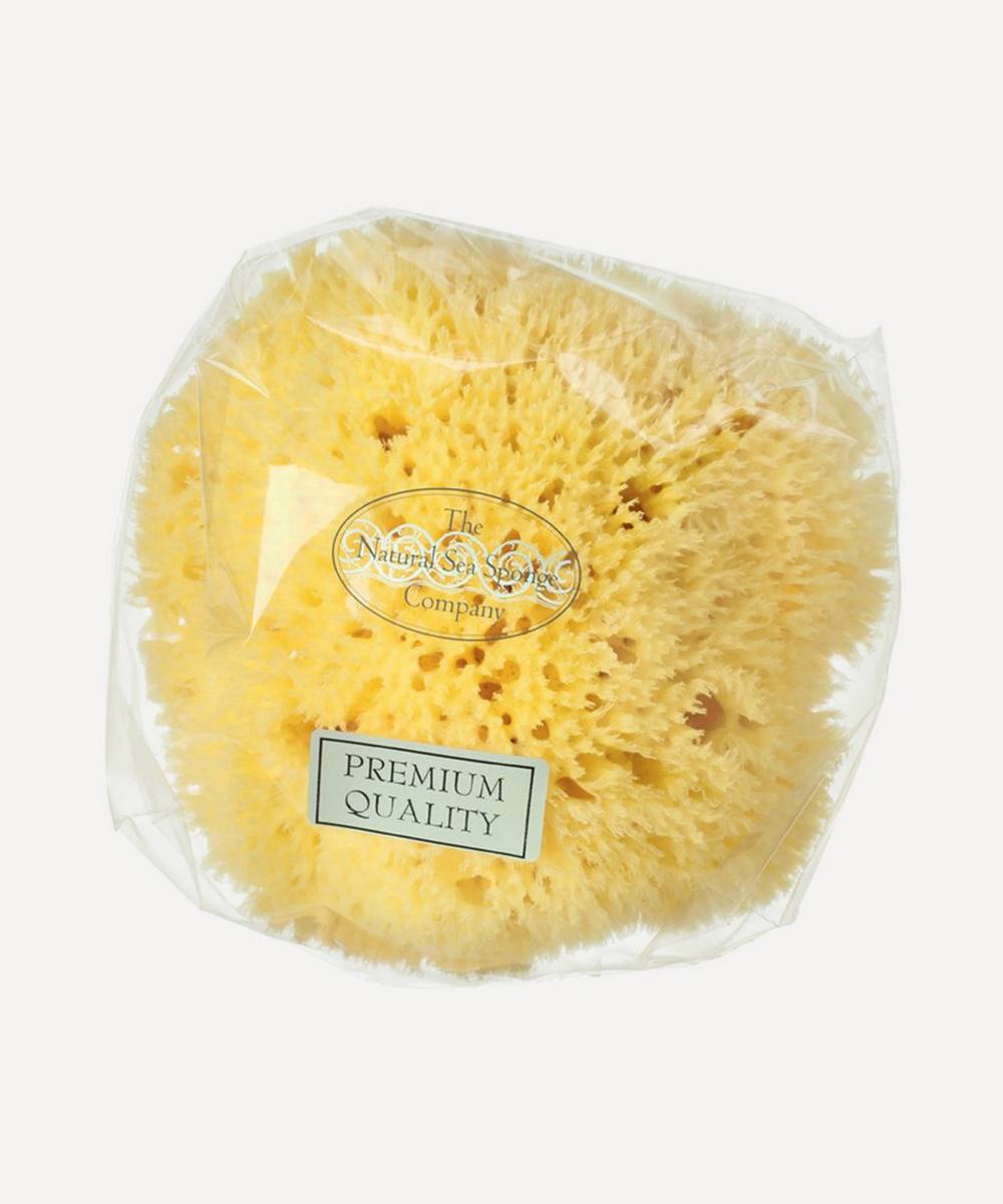 Hydréa London - Small Honeycomb Natural Sea Sponge