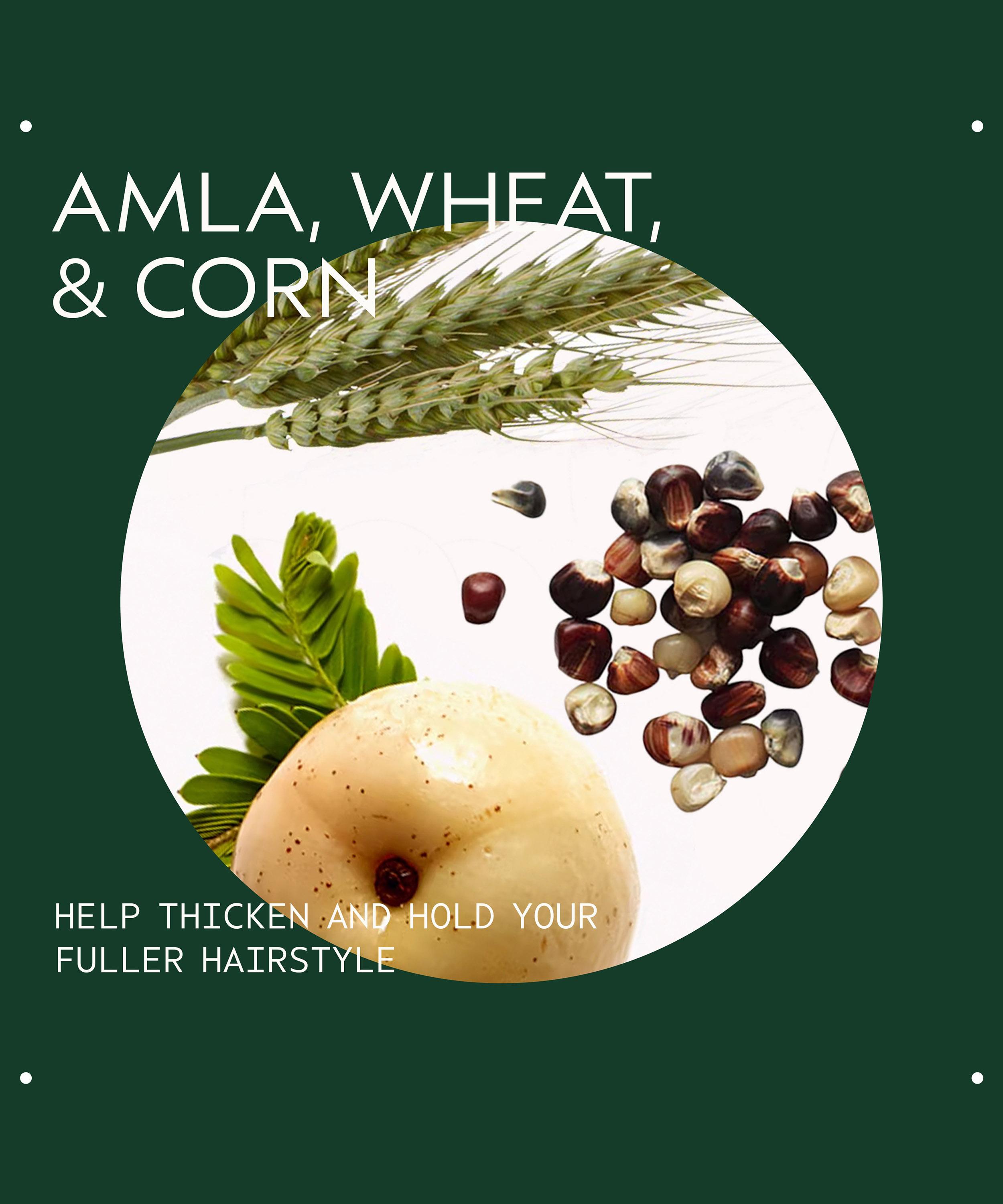 Aveda - Thickening Tonic 100ml image number 2