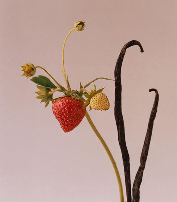 Strawberries and vanilla bean