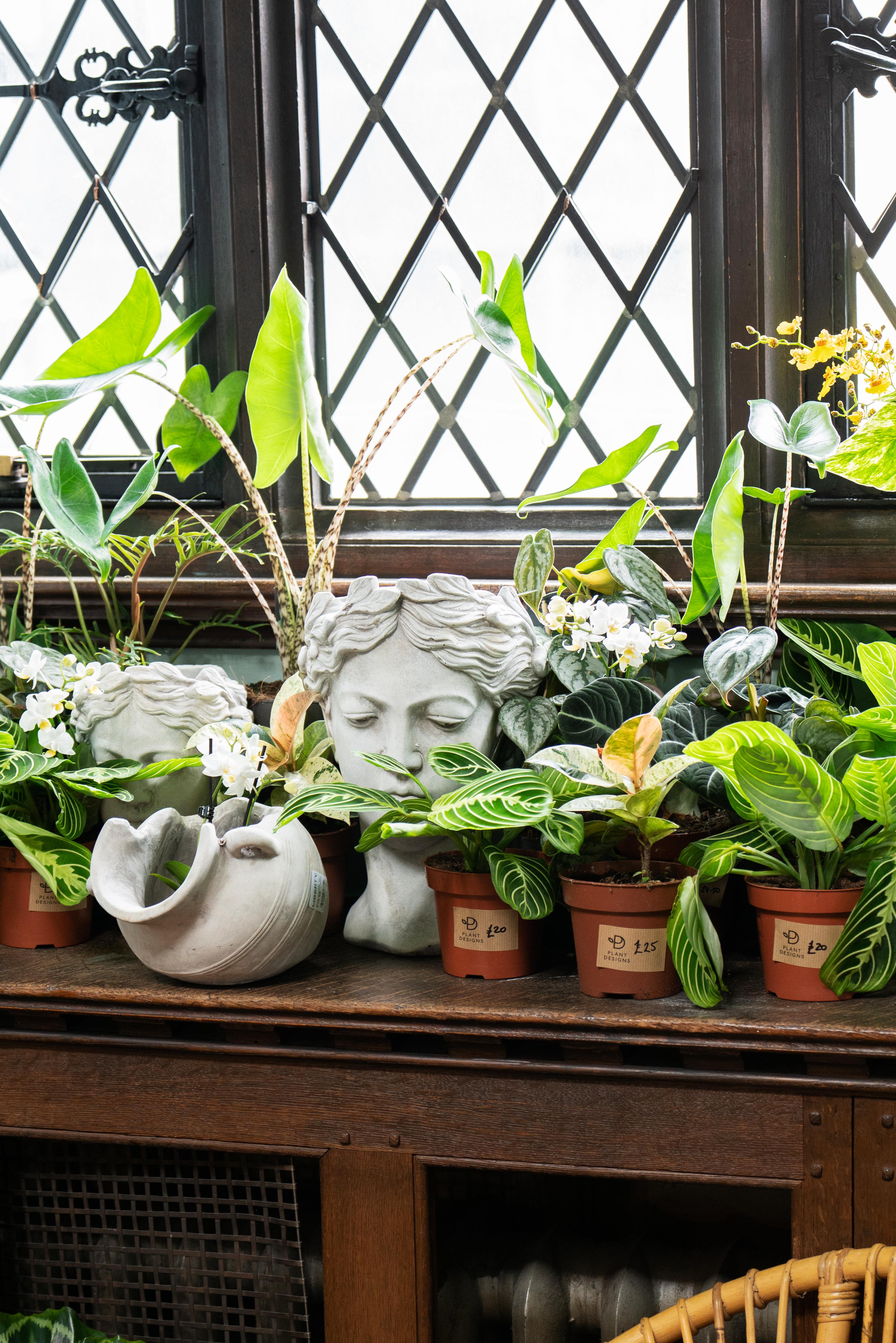 Come Rain or Shine: How to Bring the Outdoors In