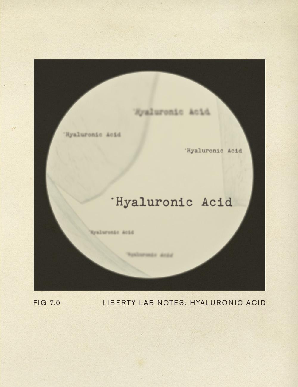 lab notes ingredient
